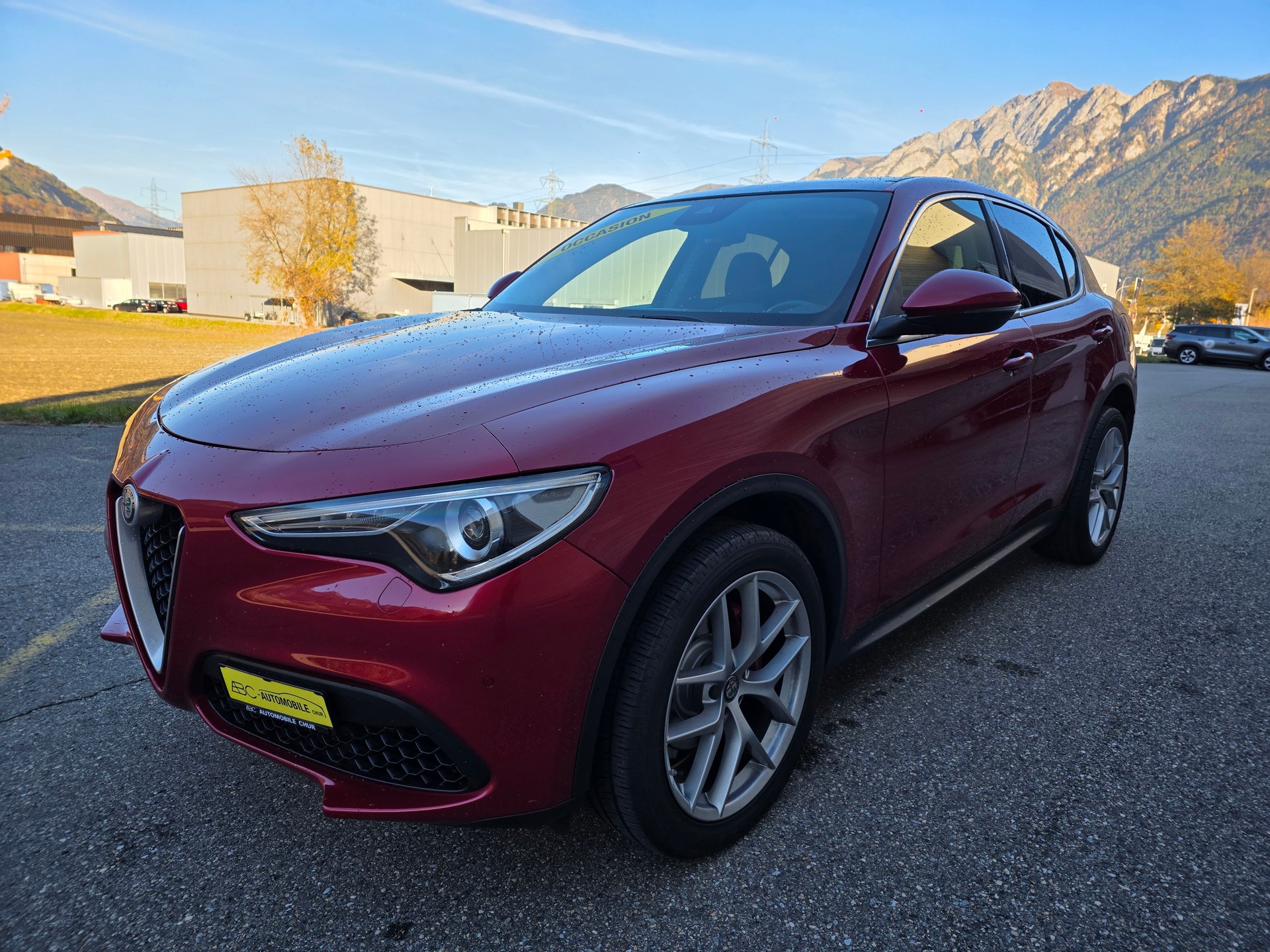 ALFA ROMEO Stelvio 2.0 First Edition Q4 Automatic-image-13