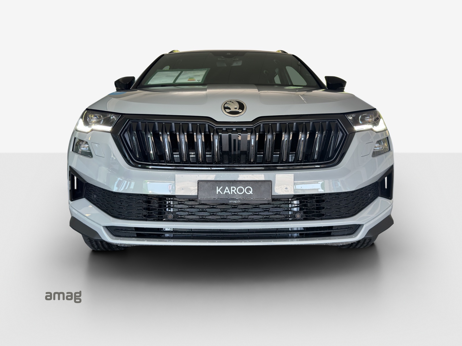 SKODA Karoq 2.0 TSI SportLine 4x4 DSG-image-6