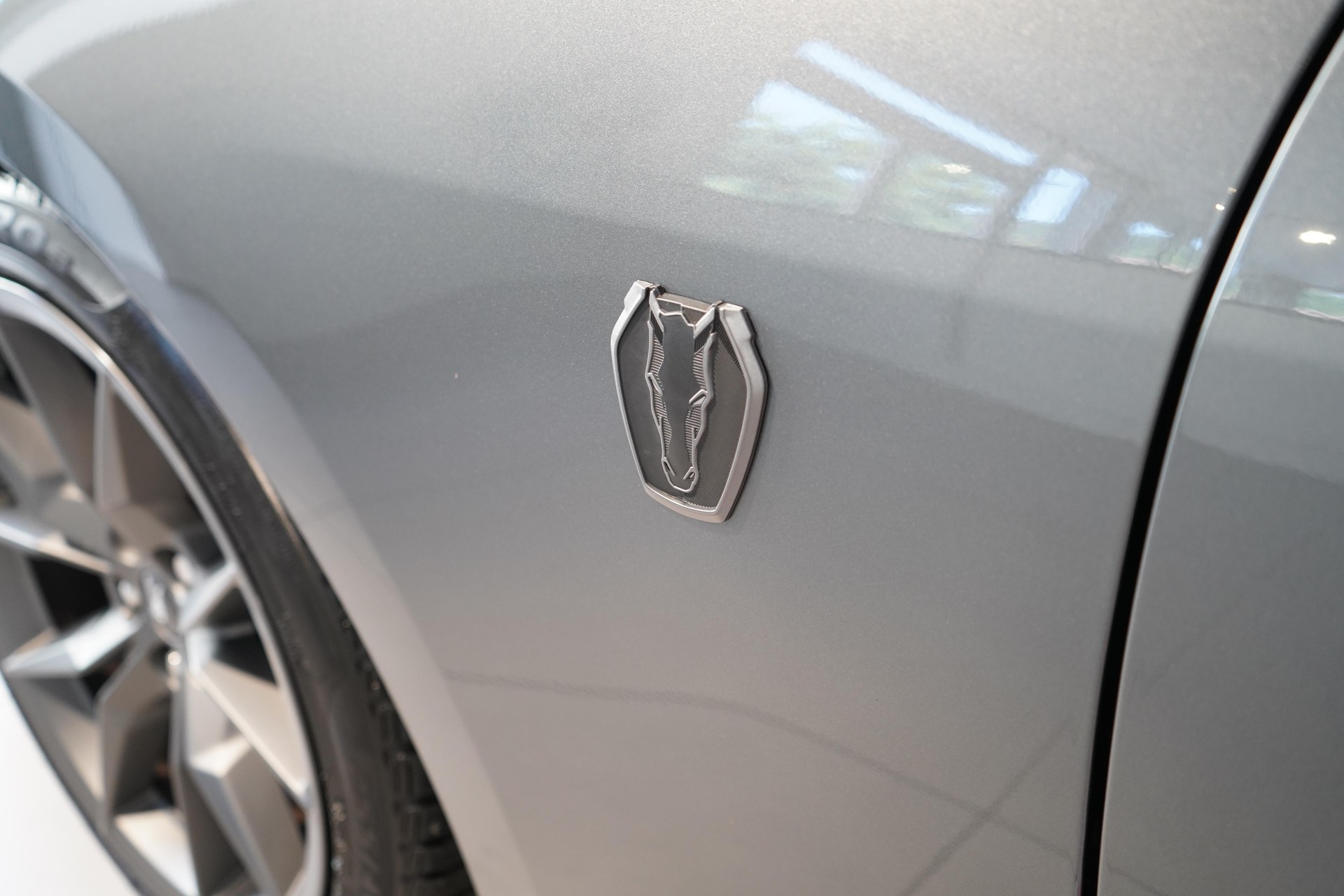 FORD Mustang Coupé 5.0 V8 Dark Horse-image-20