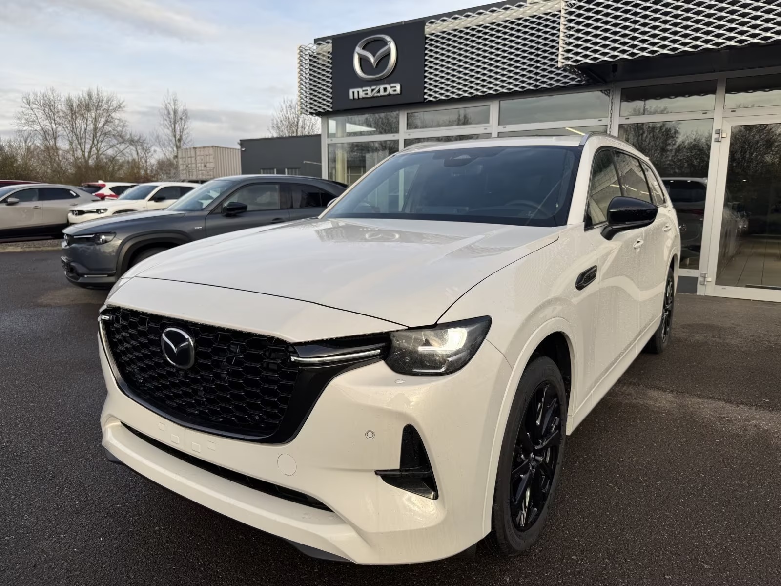 MAZDA CX-80 e-Skyactiv PHEV 327 AWD Homura Plus 7-Sitzer