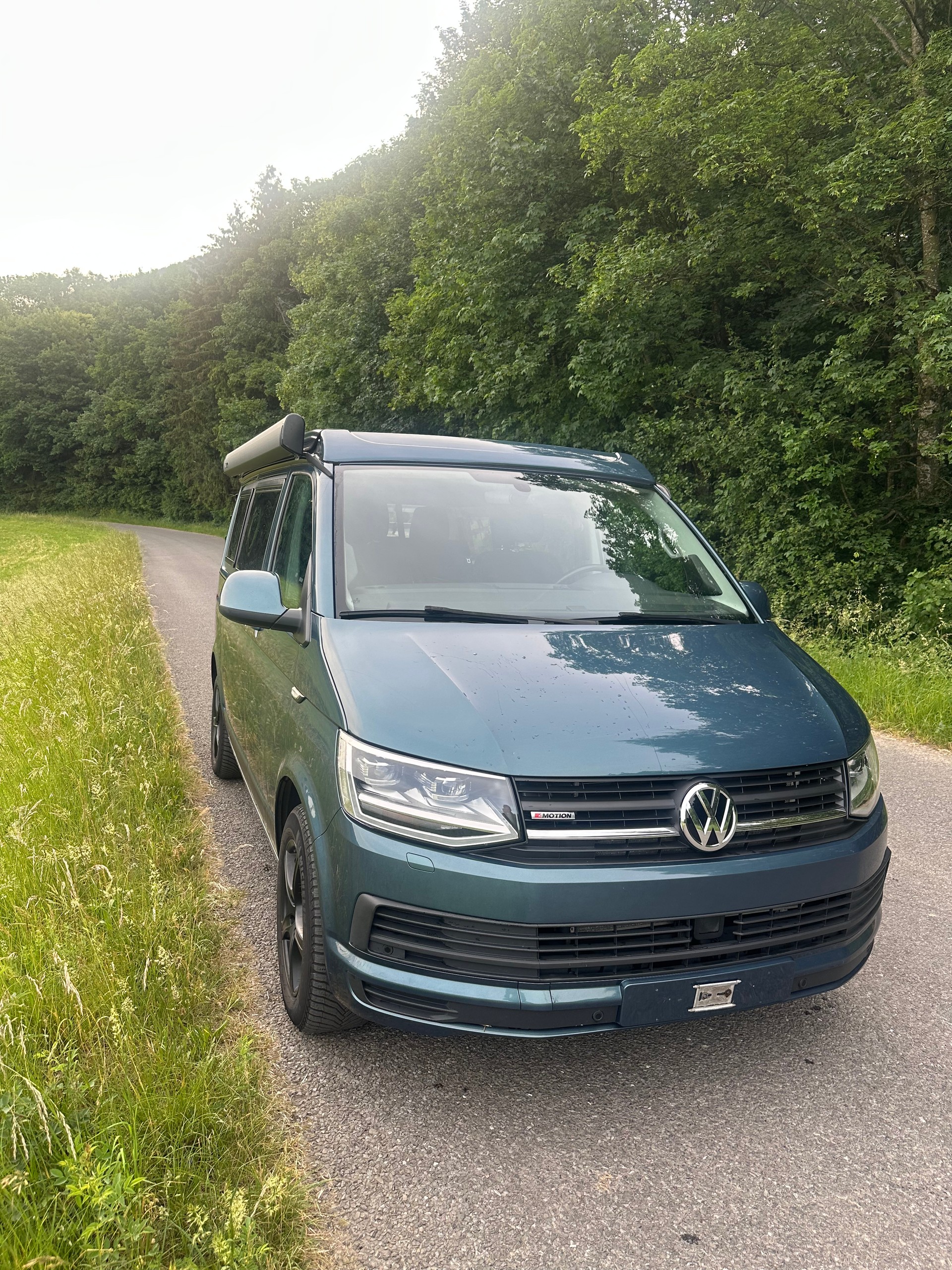 VW Custom-Bus-image-0