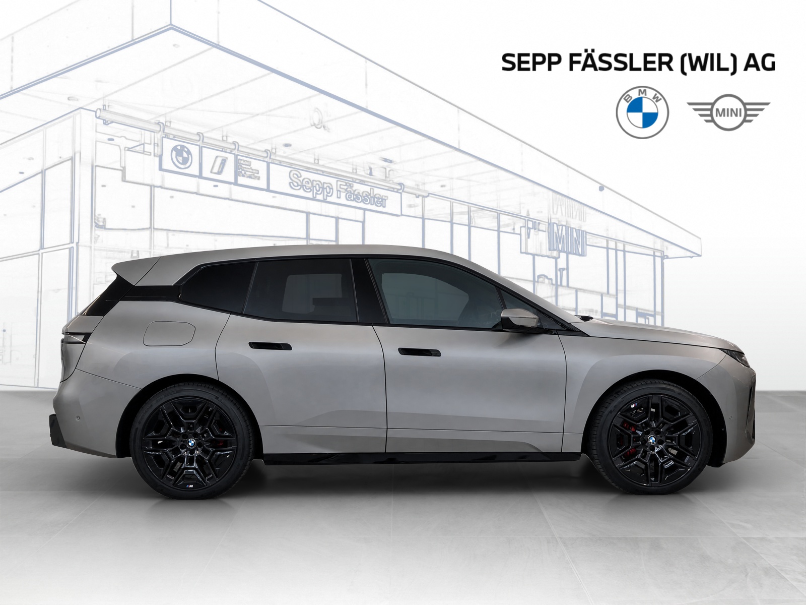 BMW iX xDrive60 M Sport Pro-image-6