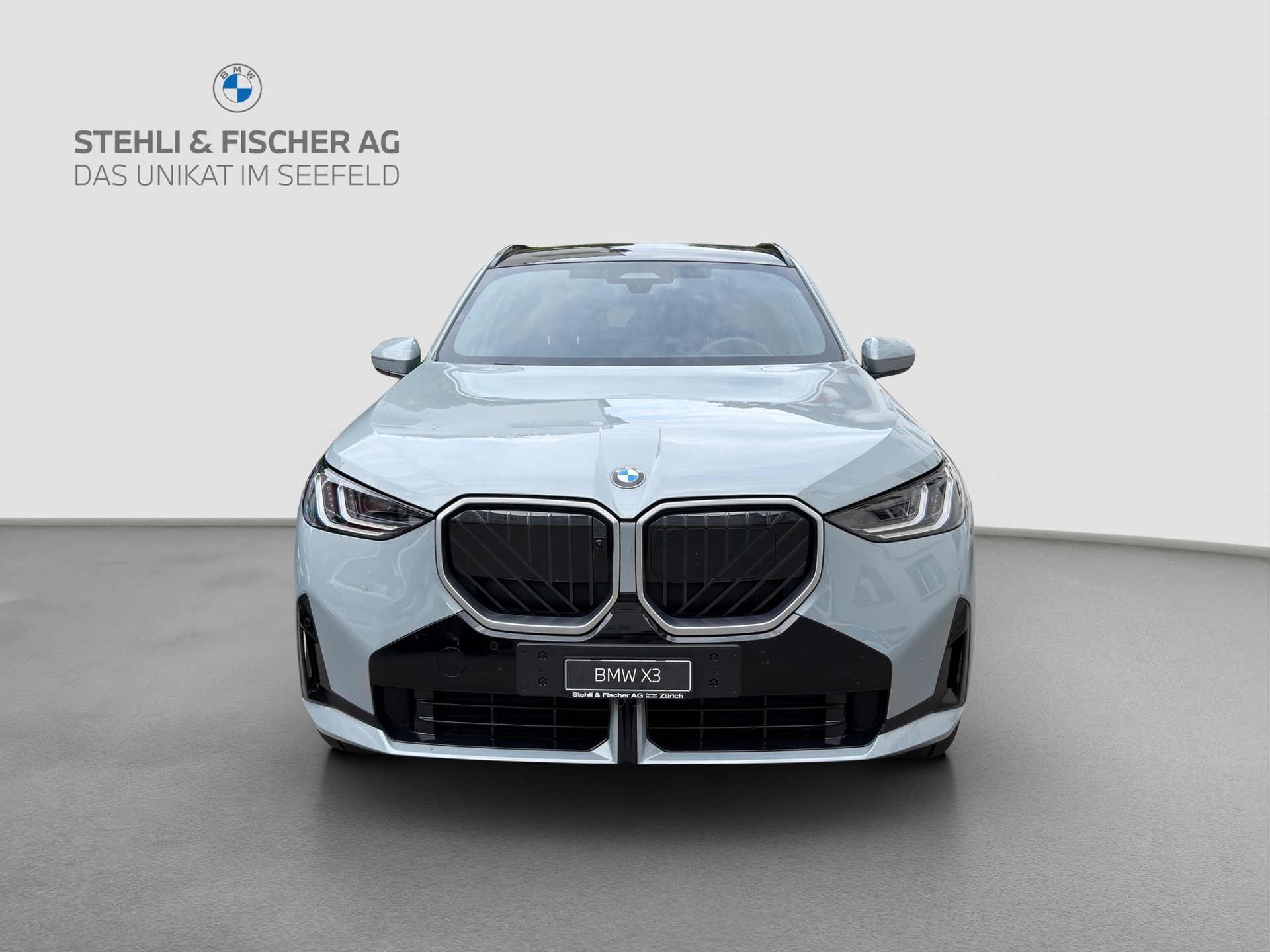 BMW X3 xDrive 30e M Sport-showroom-element-1