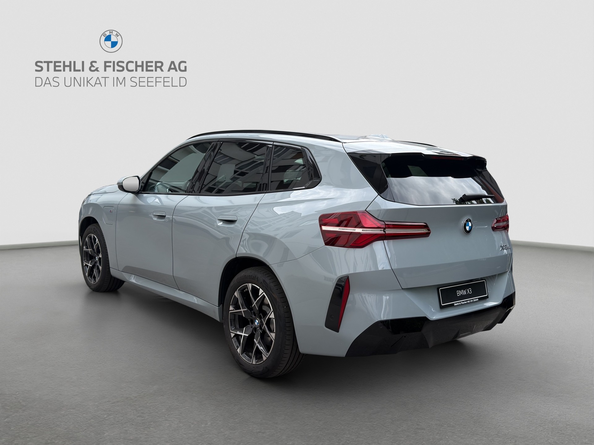 BMW X3 xDrive 30e M Sport-showroom-element-2