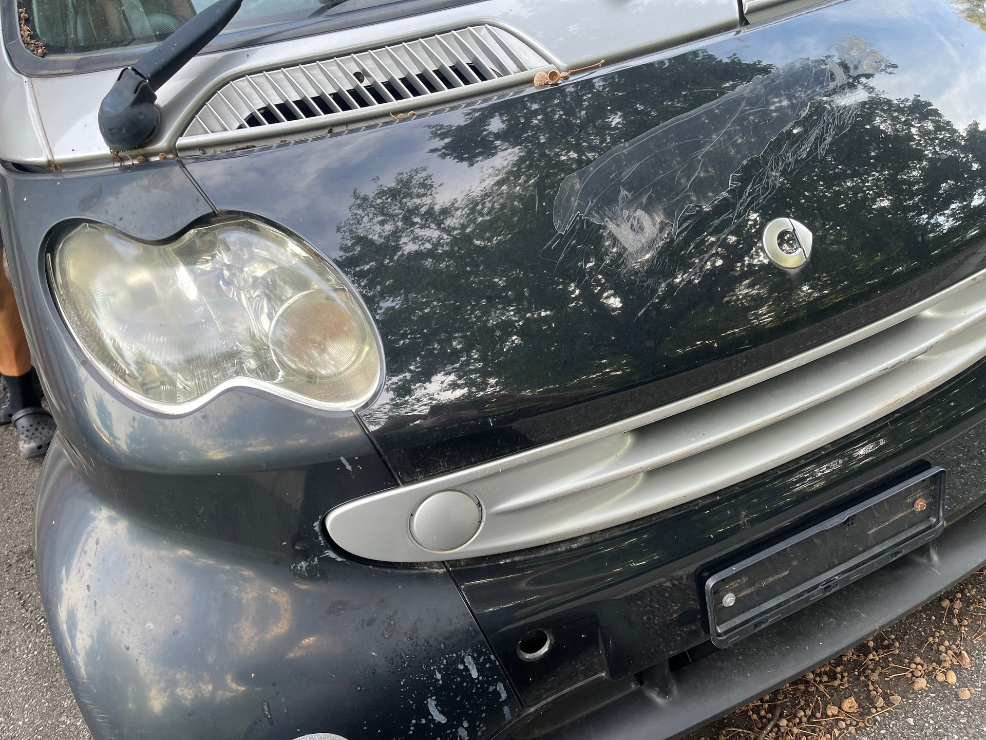 SMART fortwo passion-image-11