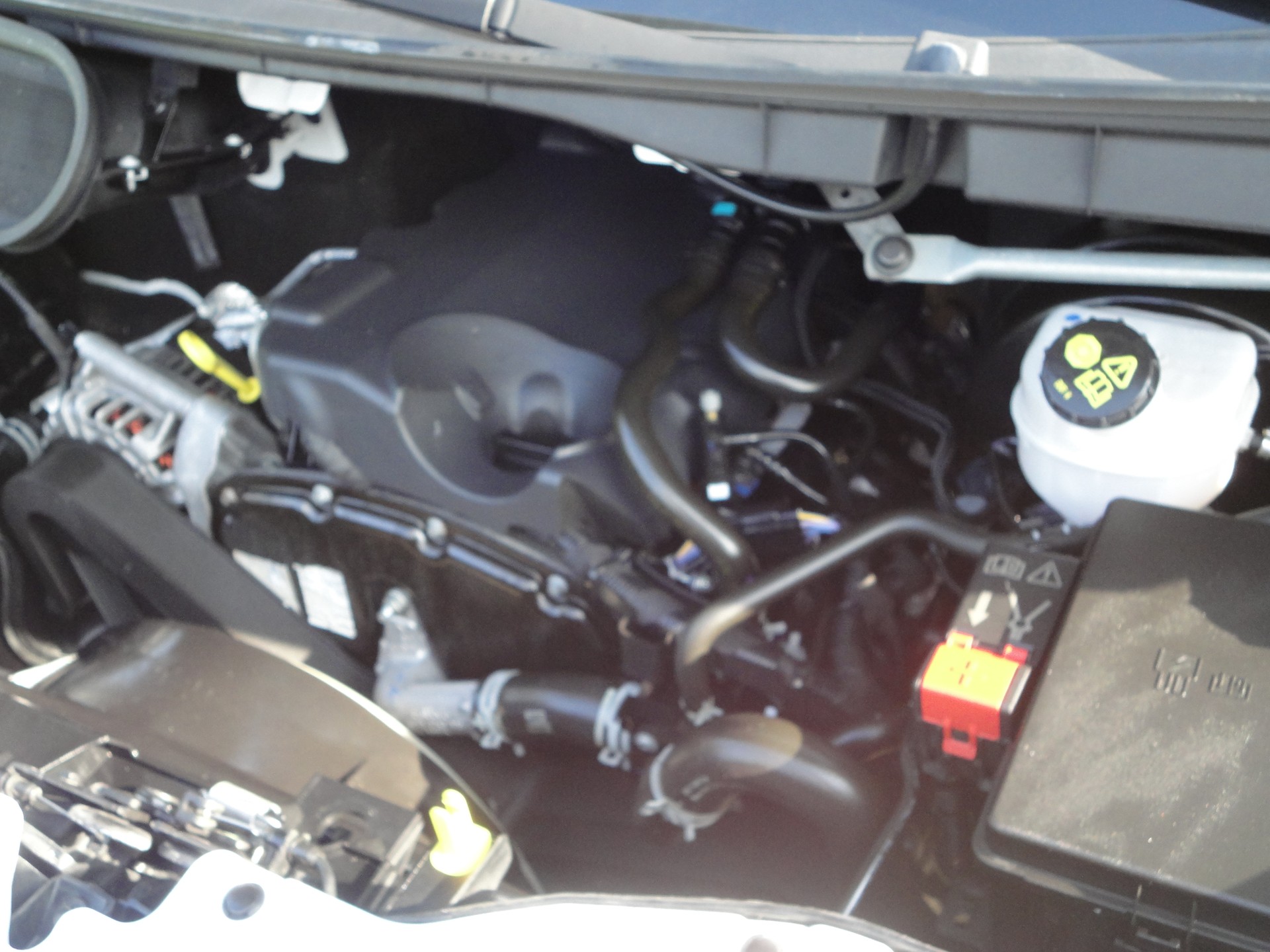 FORD Transit 350 Ambiente Kühlwagen-image-7