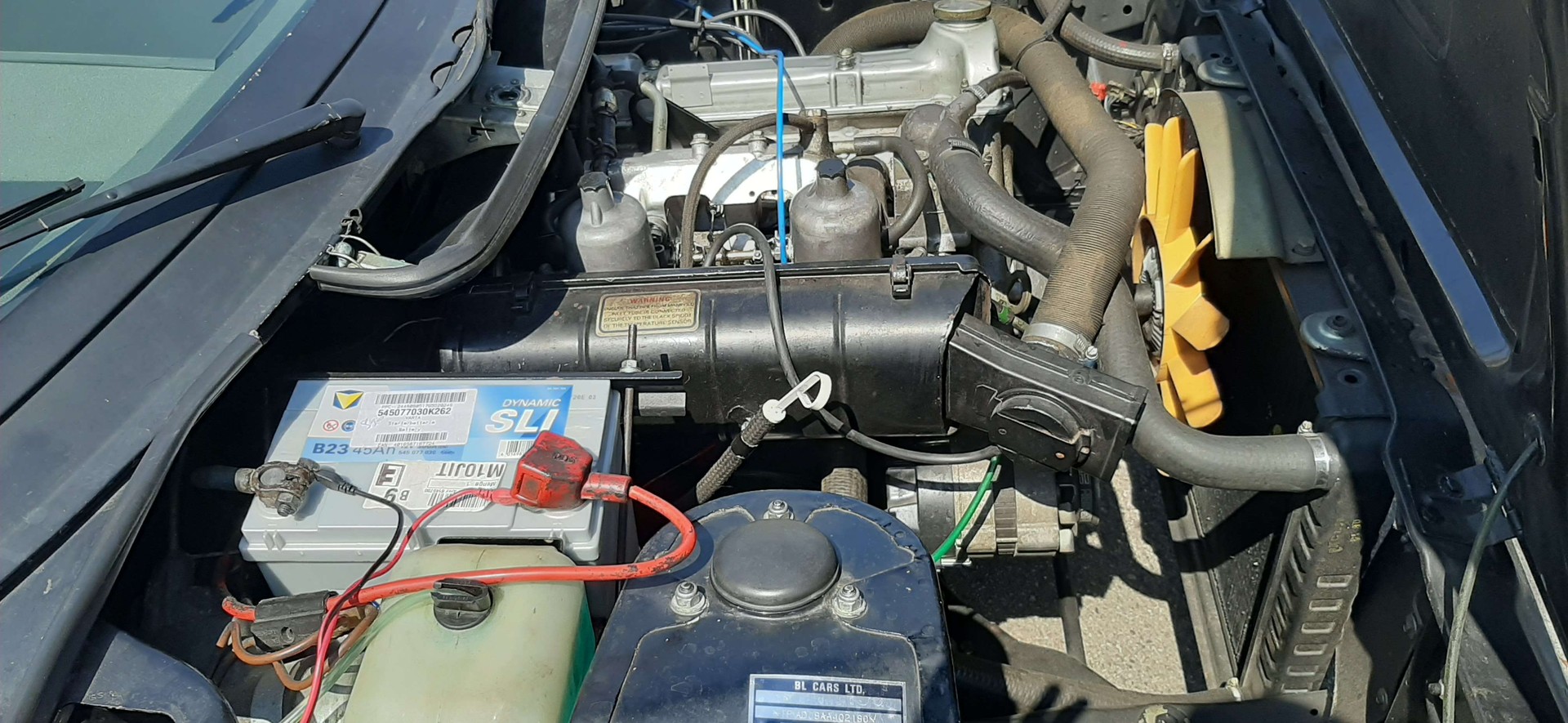 TRIUMPH TR7-image-13