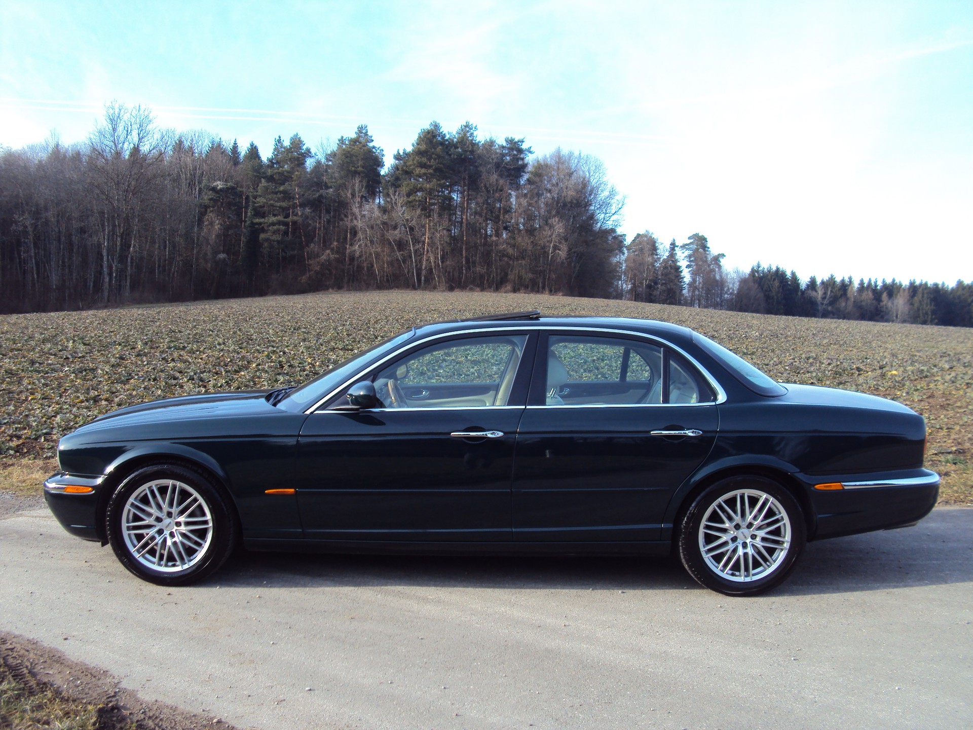 JAGUAR XJ8 4.2 V8 Executive-image-6
