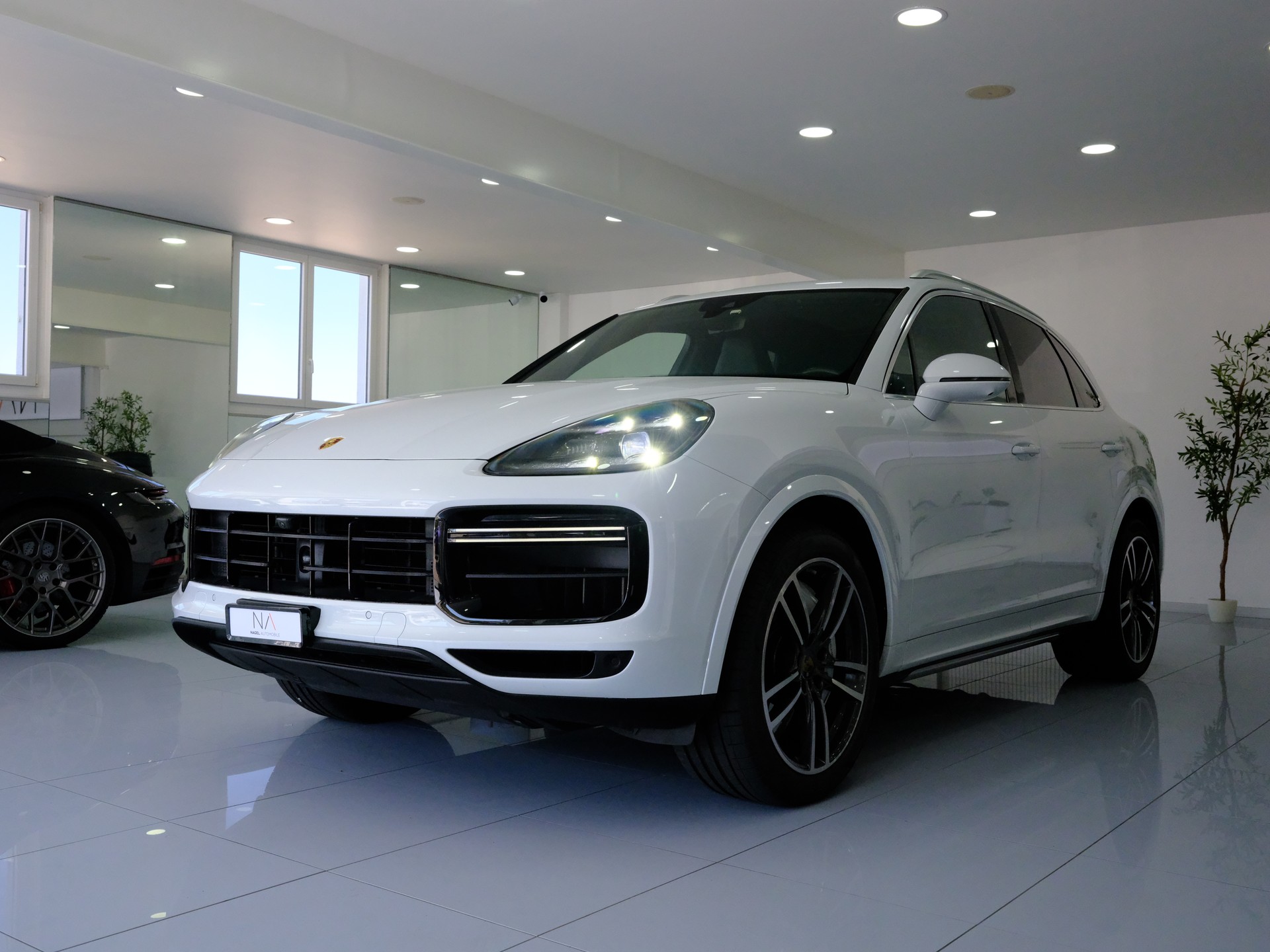 PORSCHE Cayenne Turbo-image-3