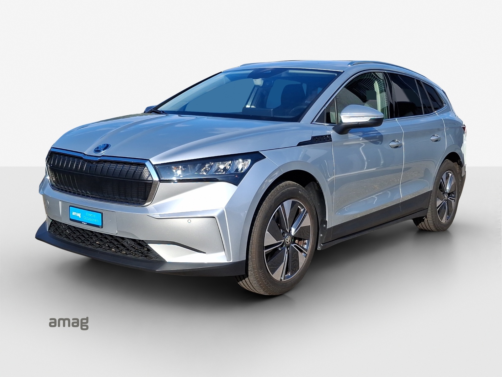 SKODA Enyaq iV 80x-image-0