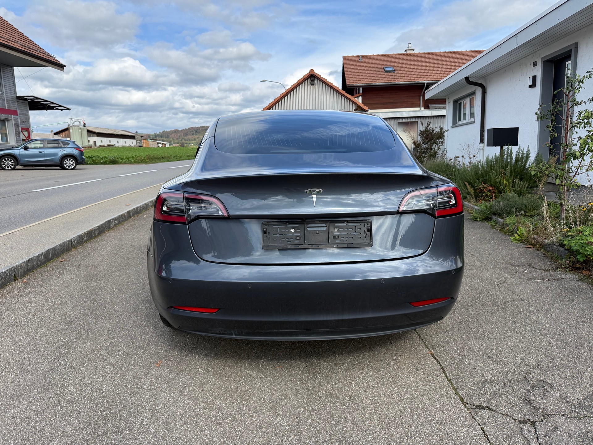 TESLA Standart Range Plus-image-2