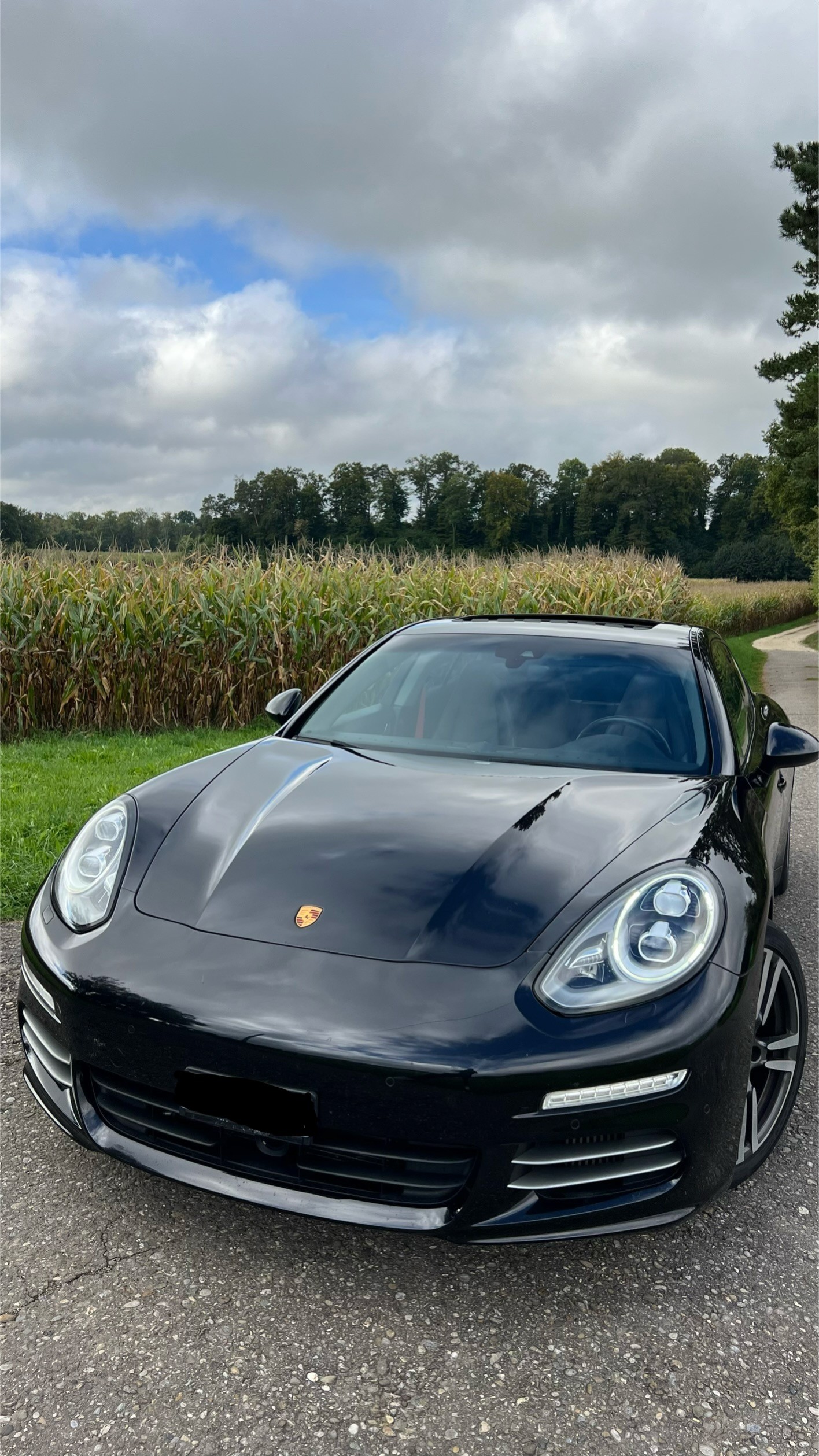PORSCHE Panamera 4S 3.0 PDK-image-0