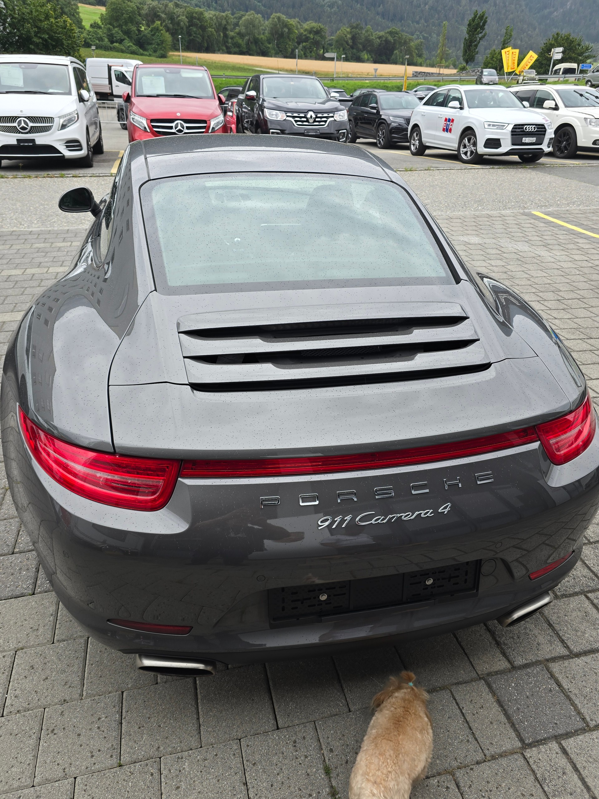 PORSCHE 911 Carrera 4-image-9
