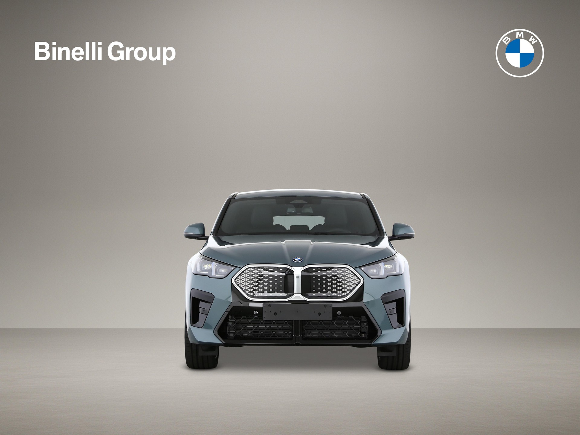 BMW iX2 30 xDrive-image-4