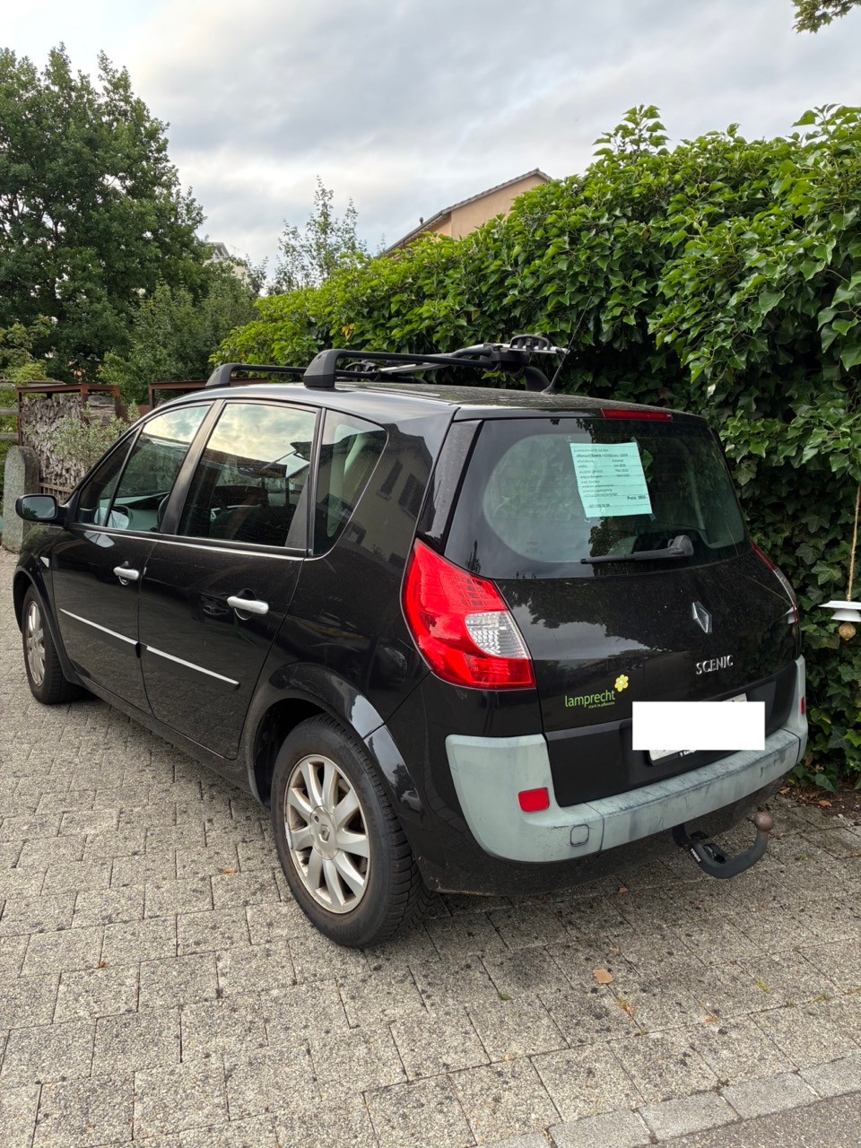 RENAULT SCENIC-image-1