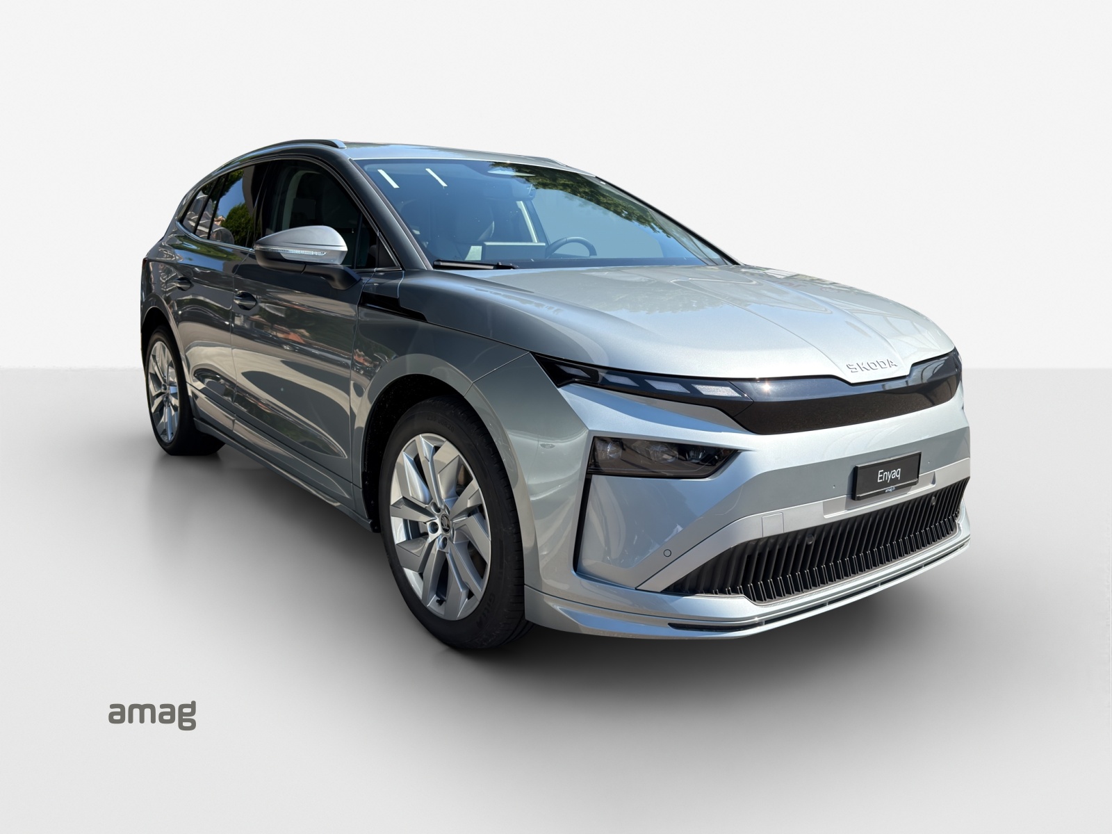 SKODA Enyaq 85x Selection 4x4-image-5