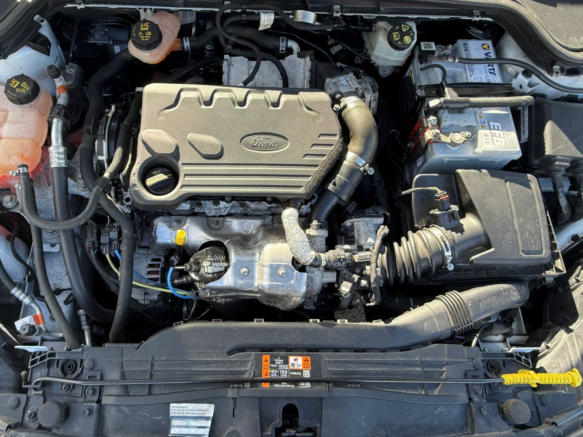 FORD Focus 1.5 TDCi Trend-image-8