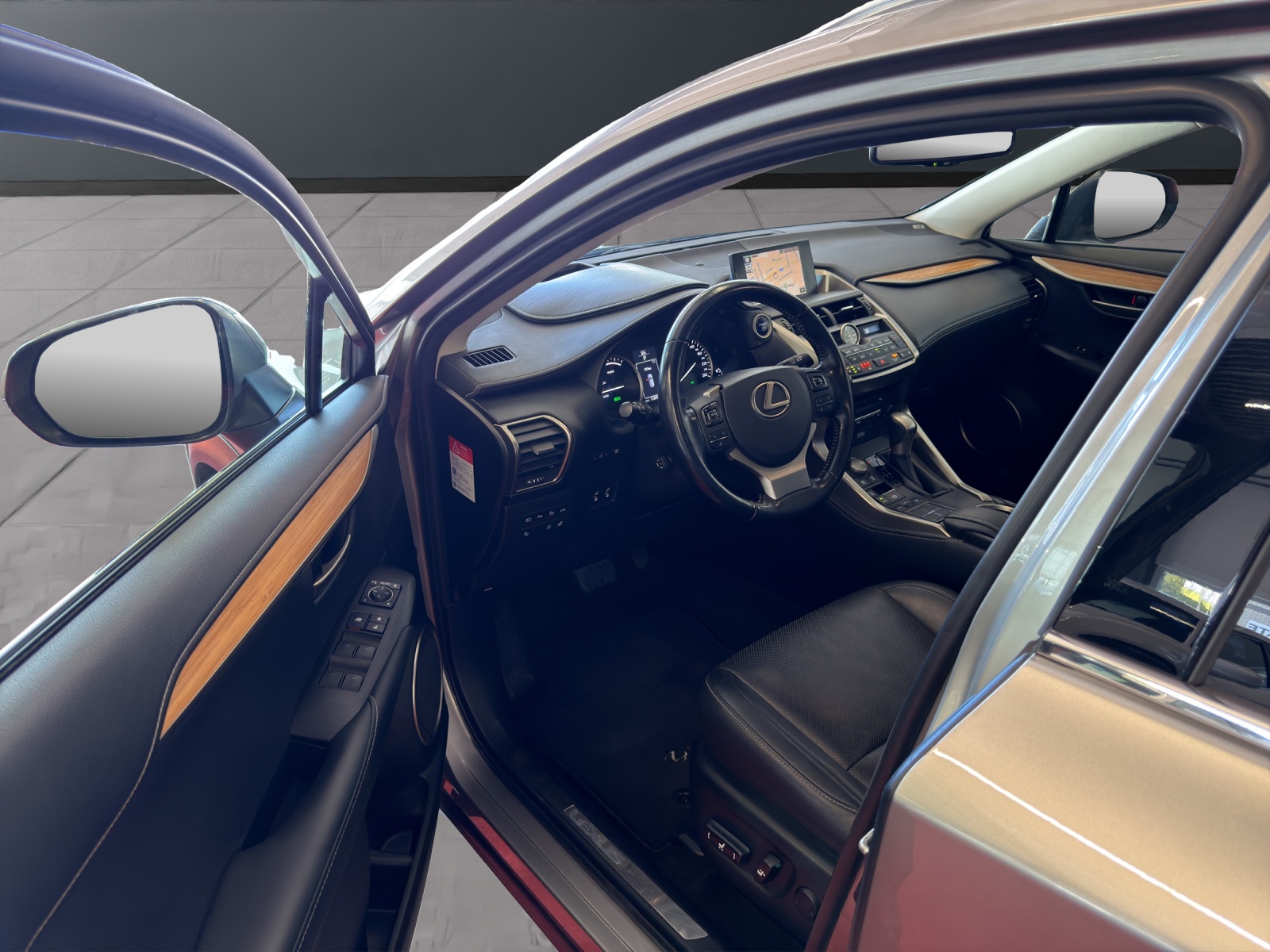 LEXUS NX 300h excellence E-Four Automatic-image-24