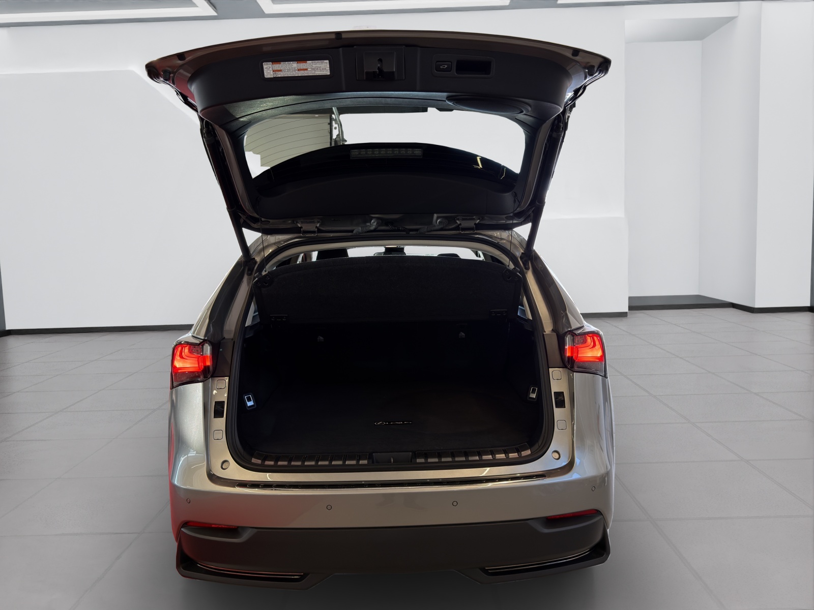 LEXUS NX 300h excellence E-Four Automatic-image-25