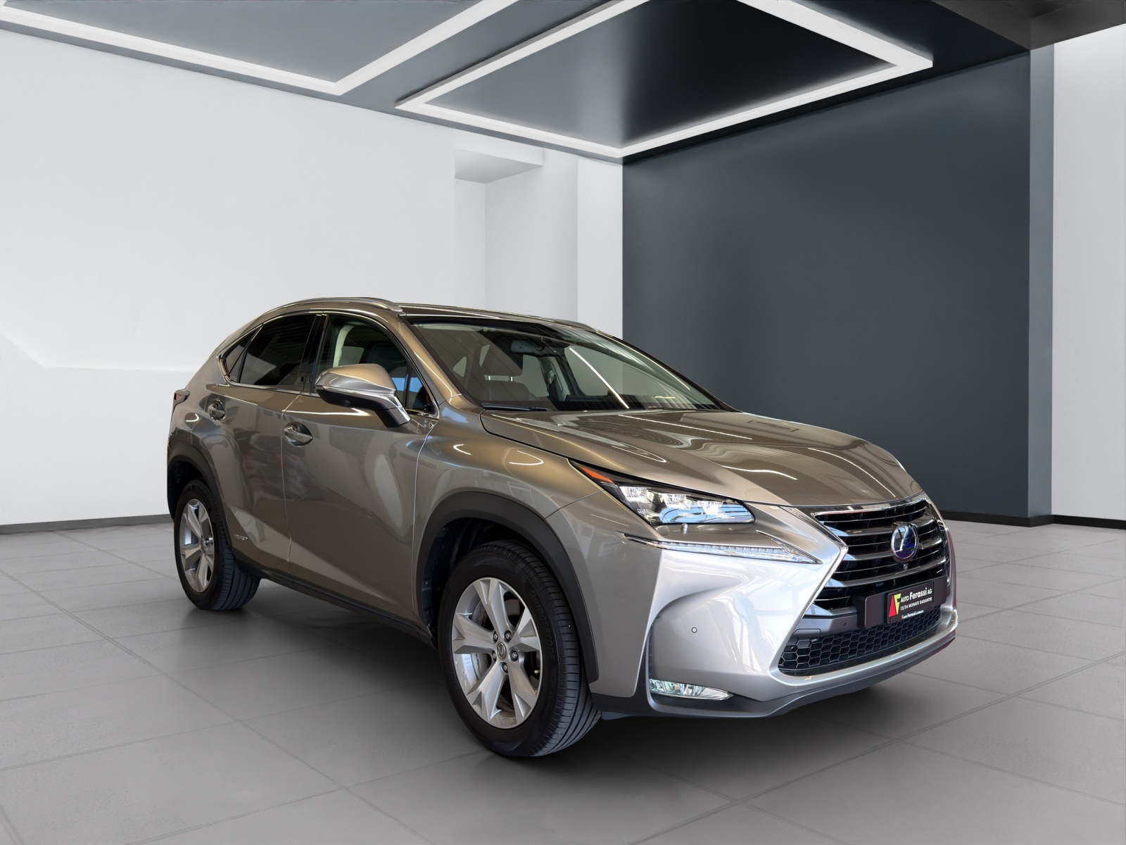 LEXUS NX 300h excellence E-Four Automatic-image-6