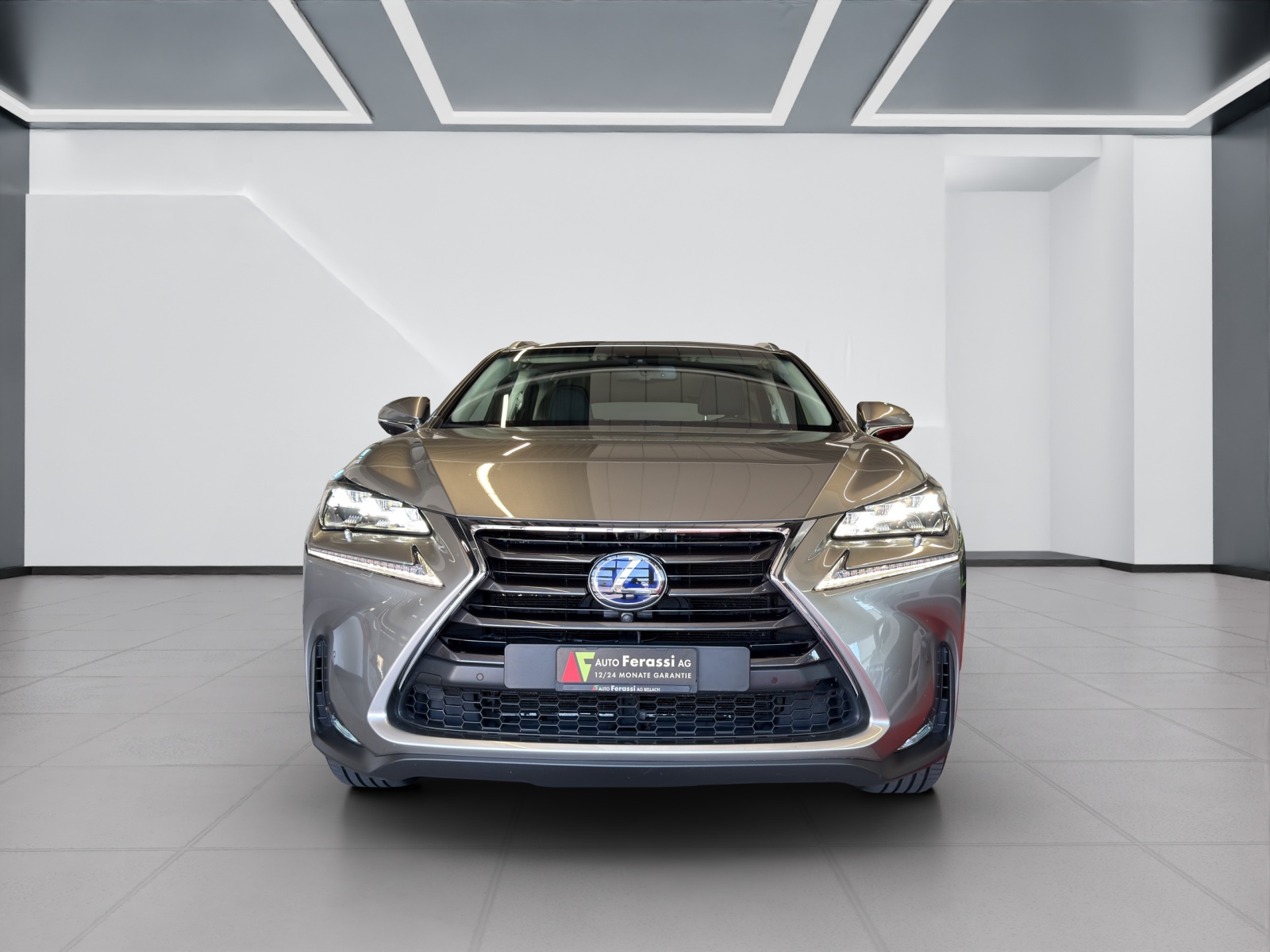 LEXUS NX 300h excellence E-Four Automatic-image-7