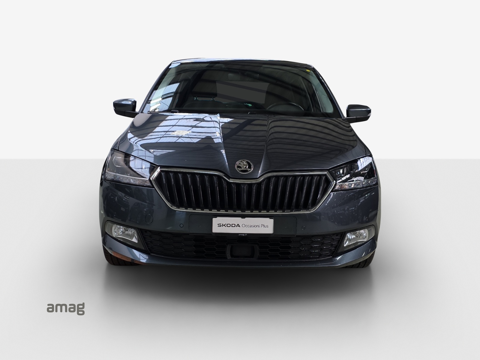 SKODA Fabia 1.0 TSI Style-image-6
