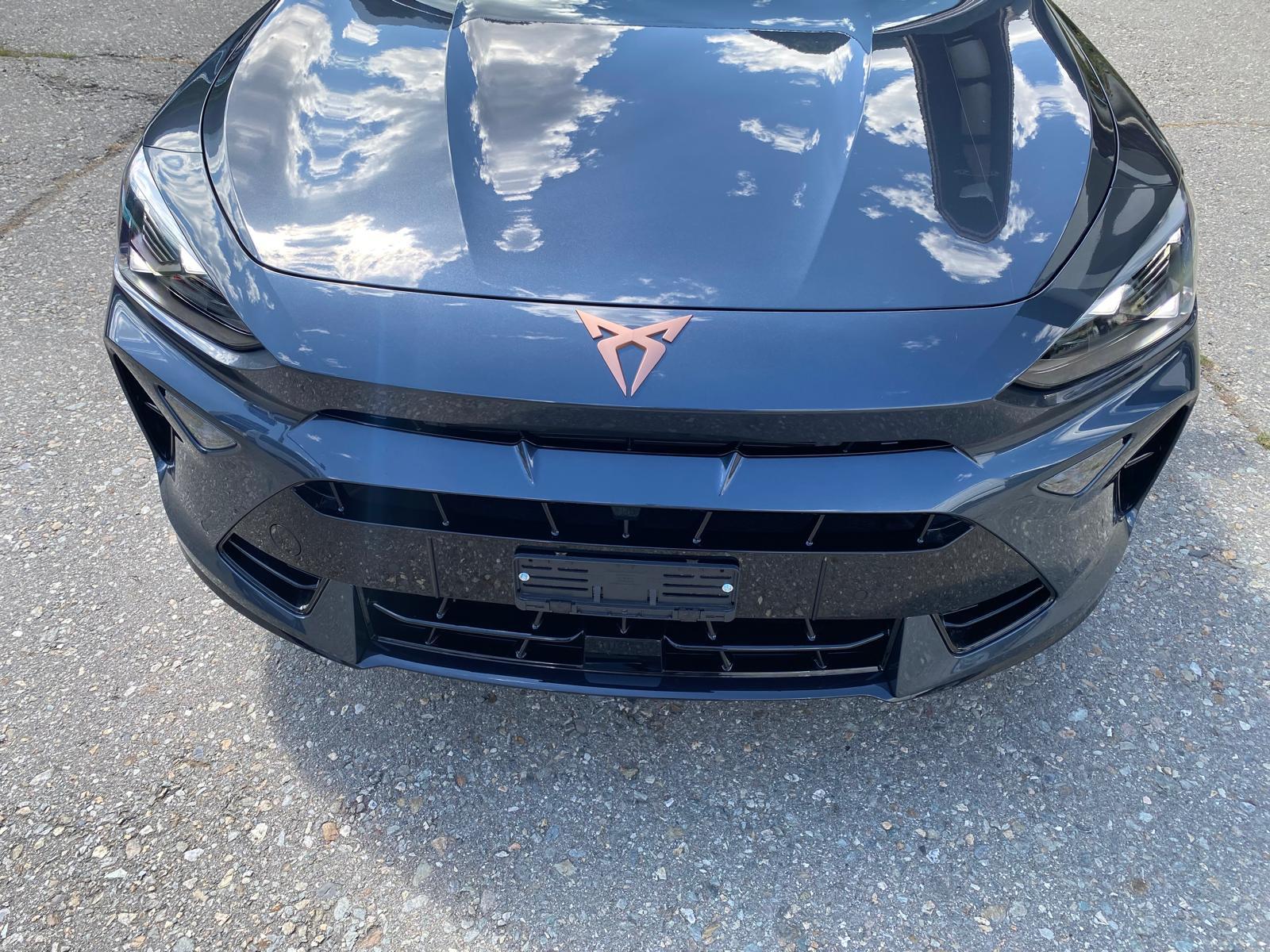 CUPRA Formentor 2.0 TSI VZ 4Drive DSG-image-12
