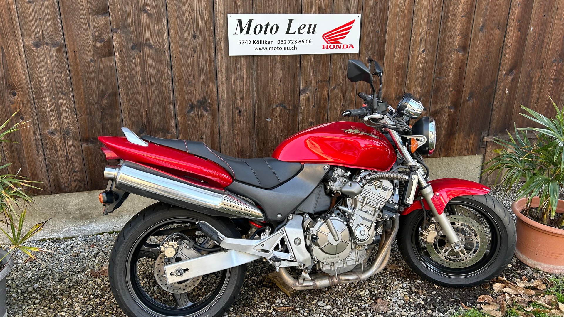HONDA CB 600 F Hornet-image-9