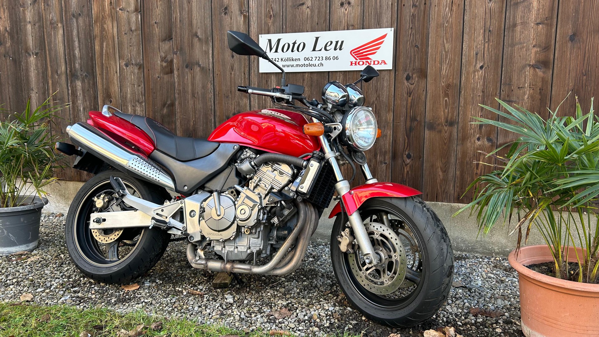 HONDA CB 600 F Hornet-image-8