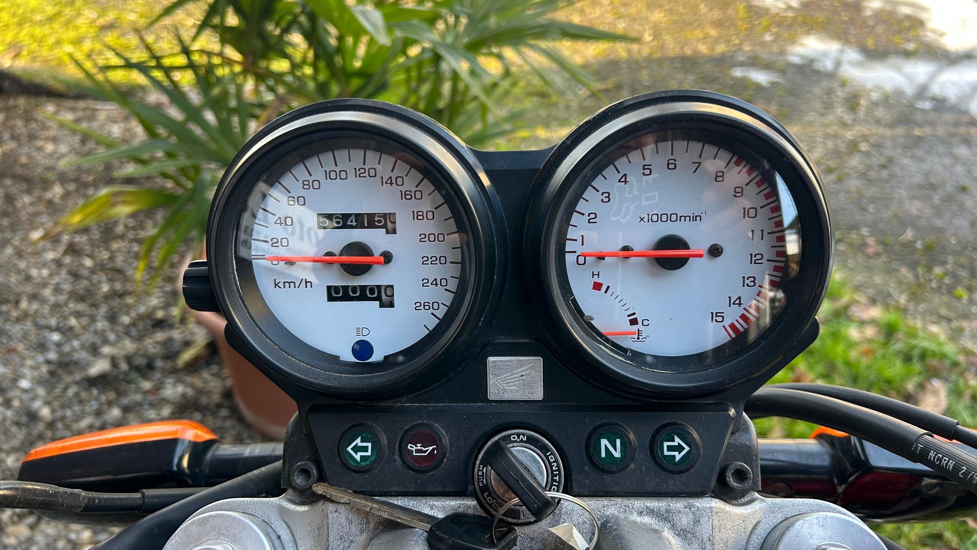 HONDA CB 600 F Hornet-showroom-element-3