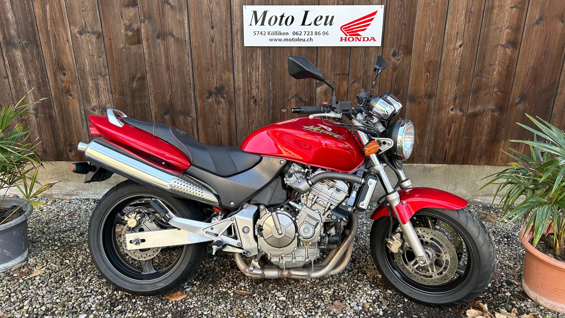 HONDA CB 600 F Hornet-image-11