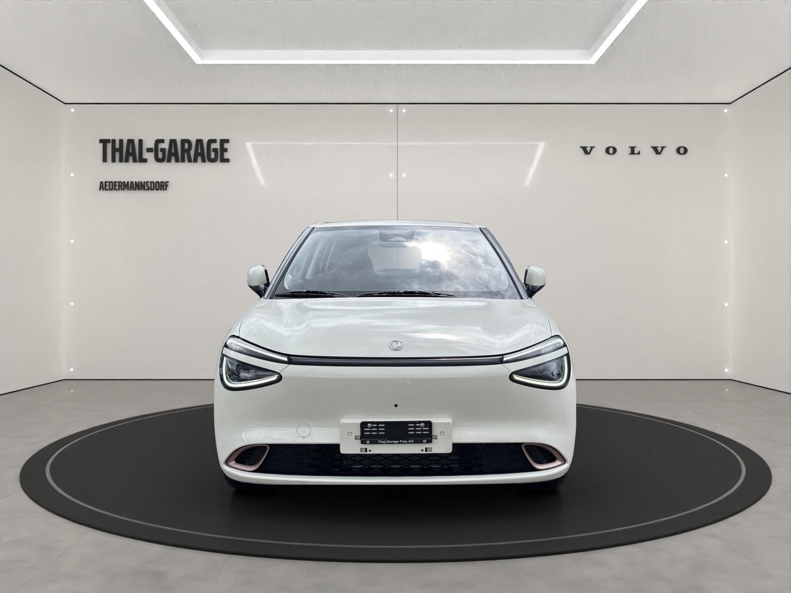 DONGFENG Box Electric-image-8