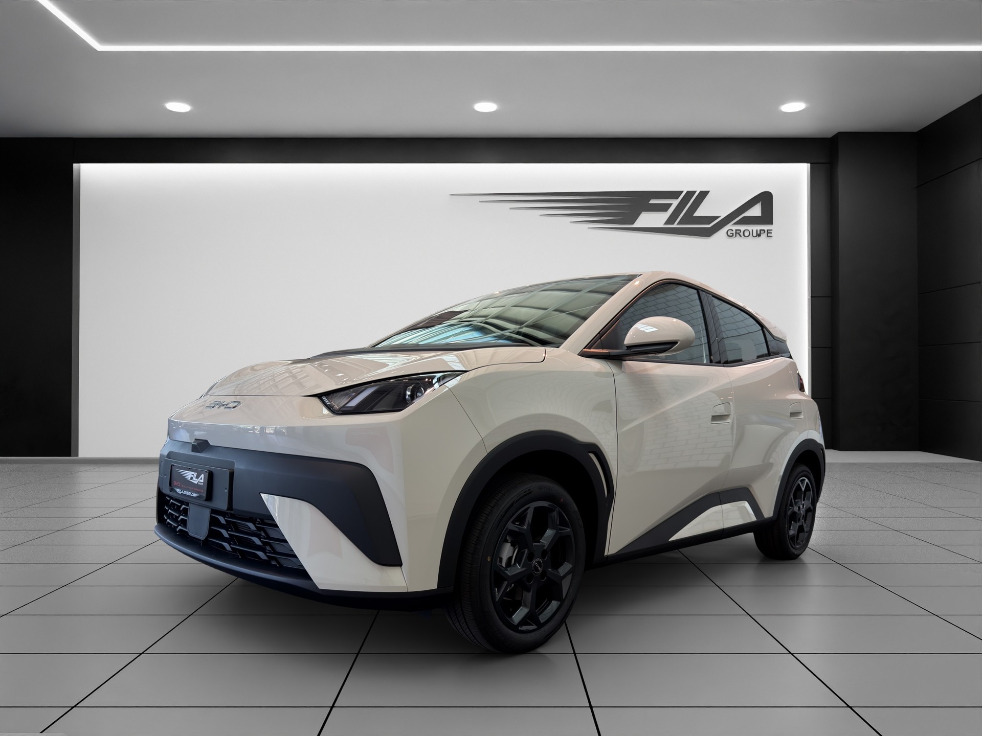 BYD Dolphin Surf Boost-image-1