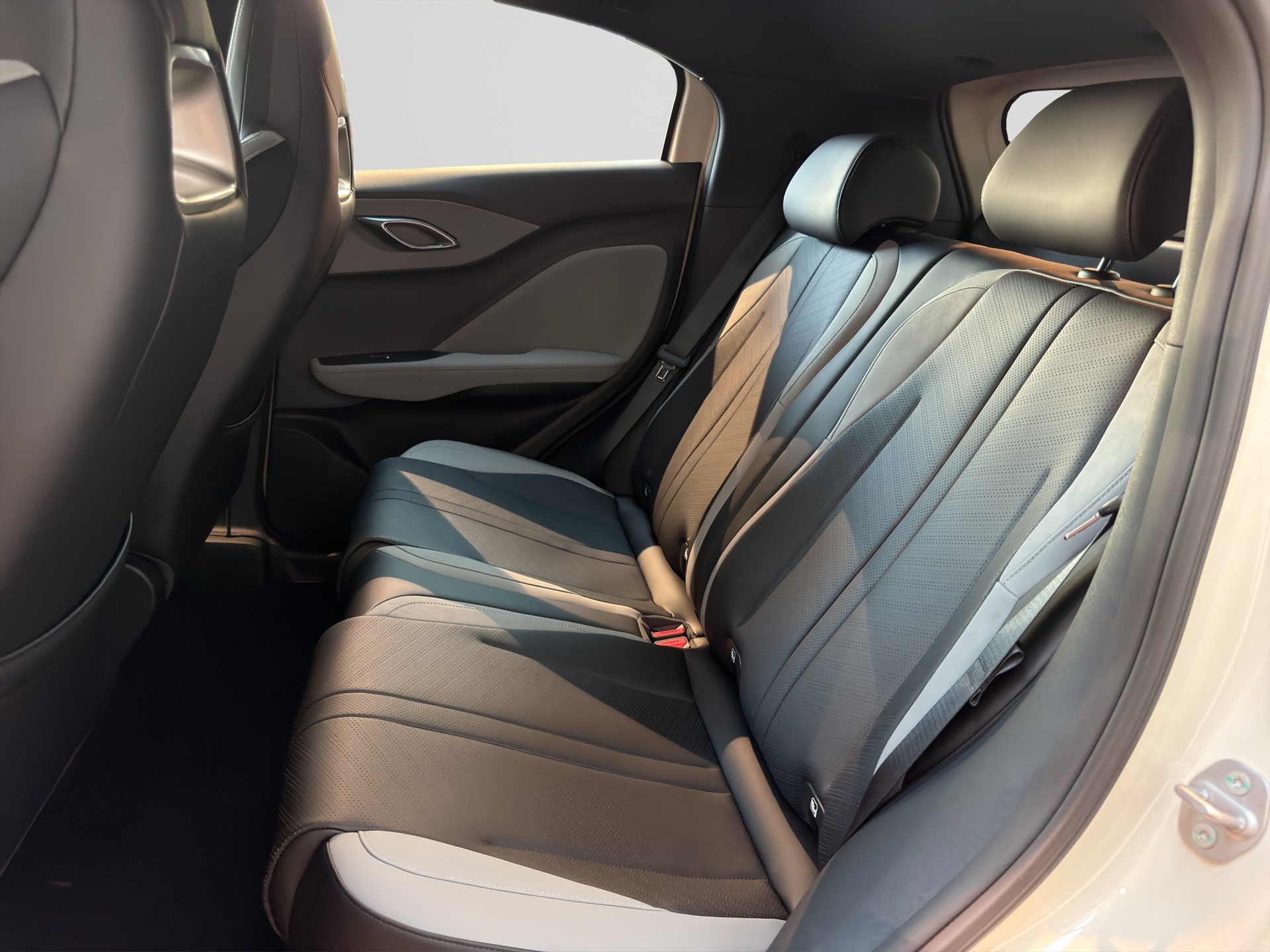 BYD Dolphin Surf Boost-image-12