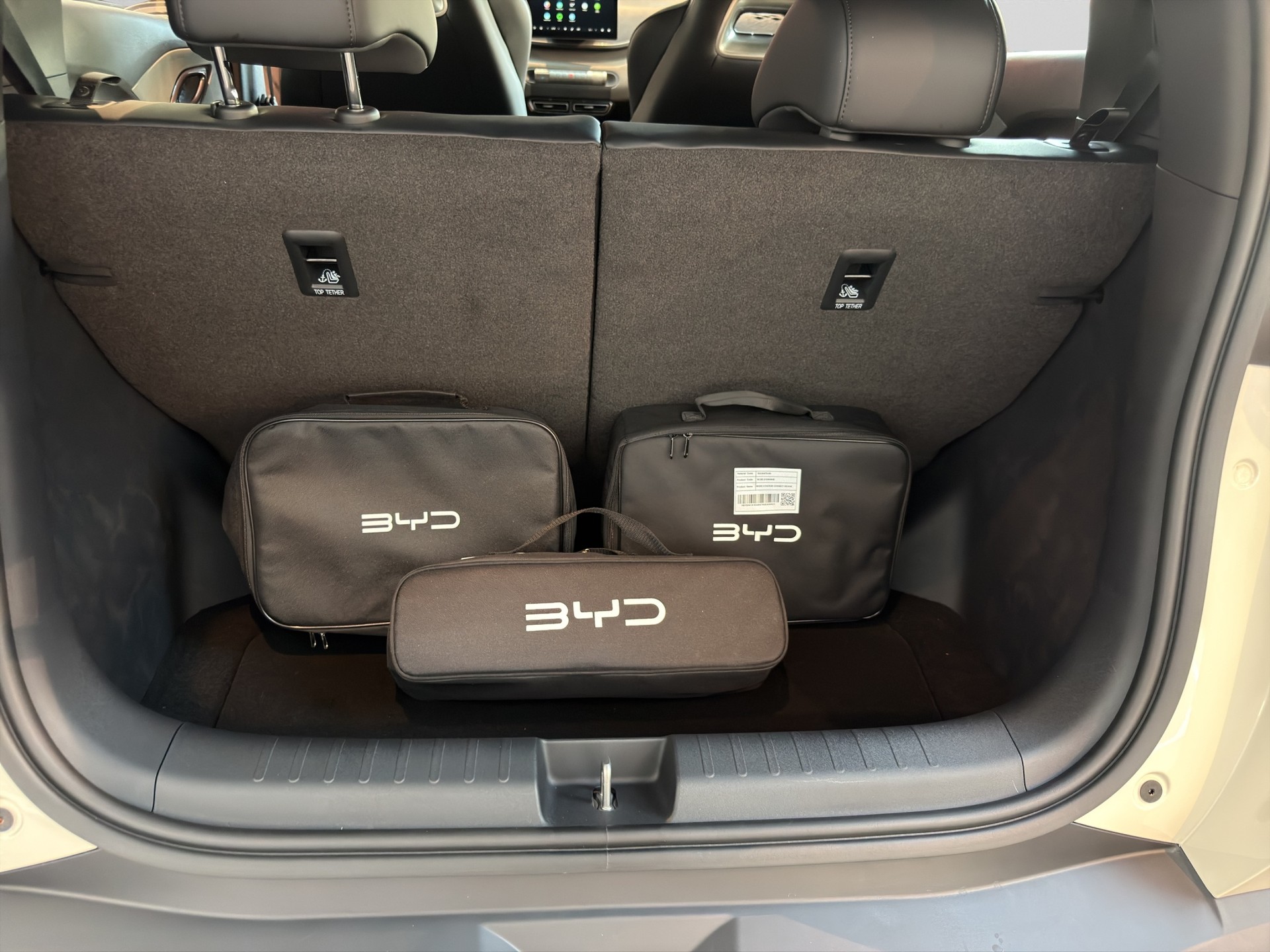 BYD Dolphin Surf Boost-image-14