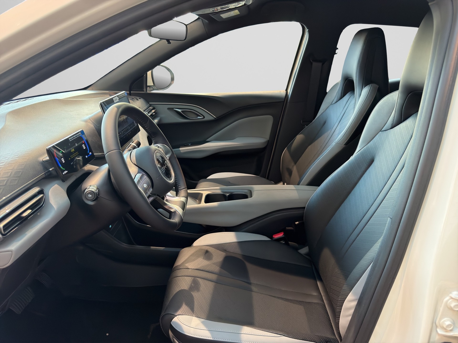 BYD Dolphin Surf Boost-image-7