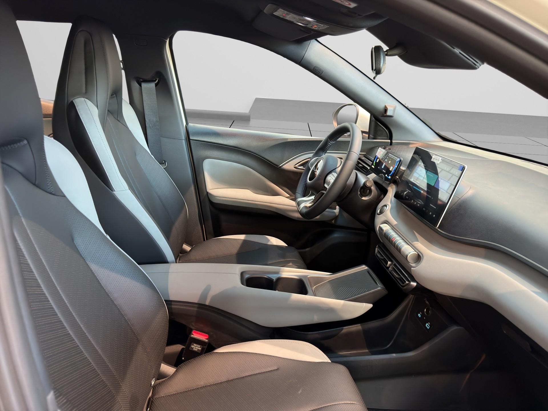 BYD Dolphin Surf Boost-image-11