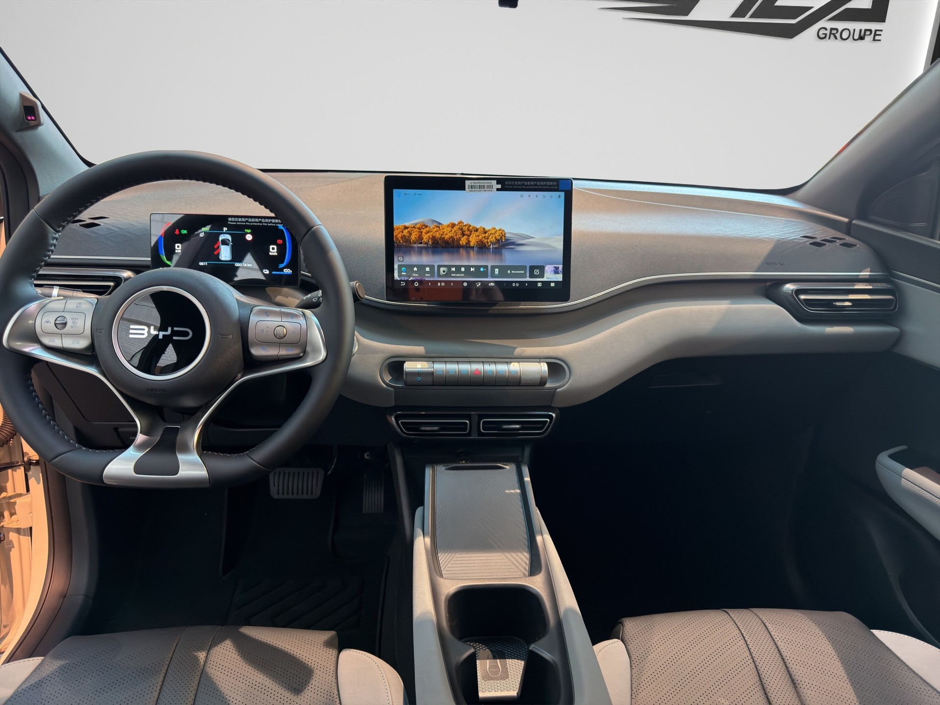 BYD Dolphin Surf Boost-image-9