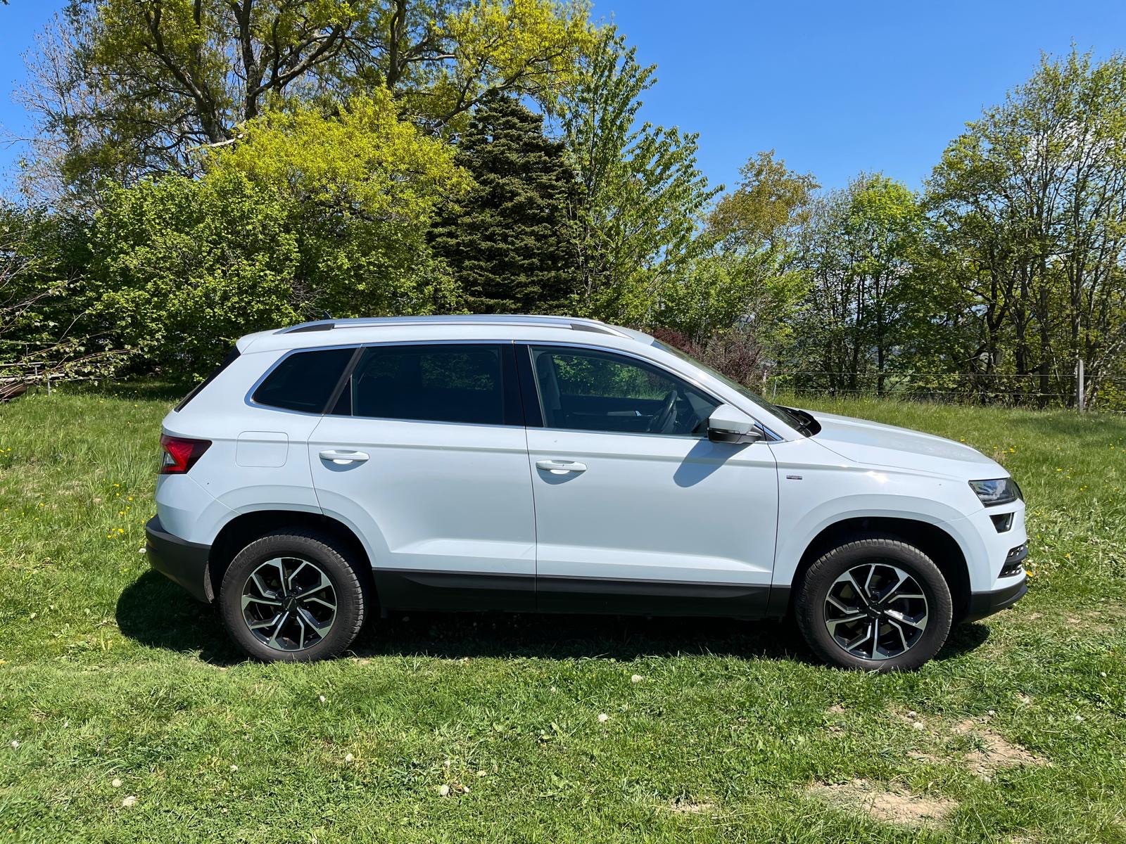 SKODA Karoq 1.5 TSI ACT Ambition DSG-image-5