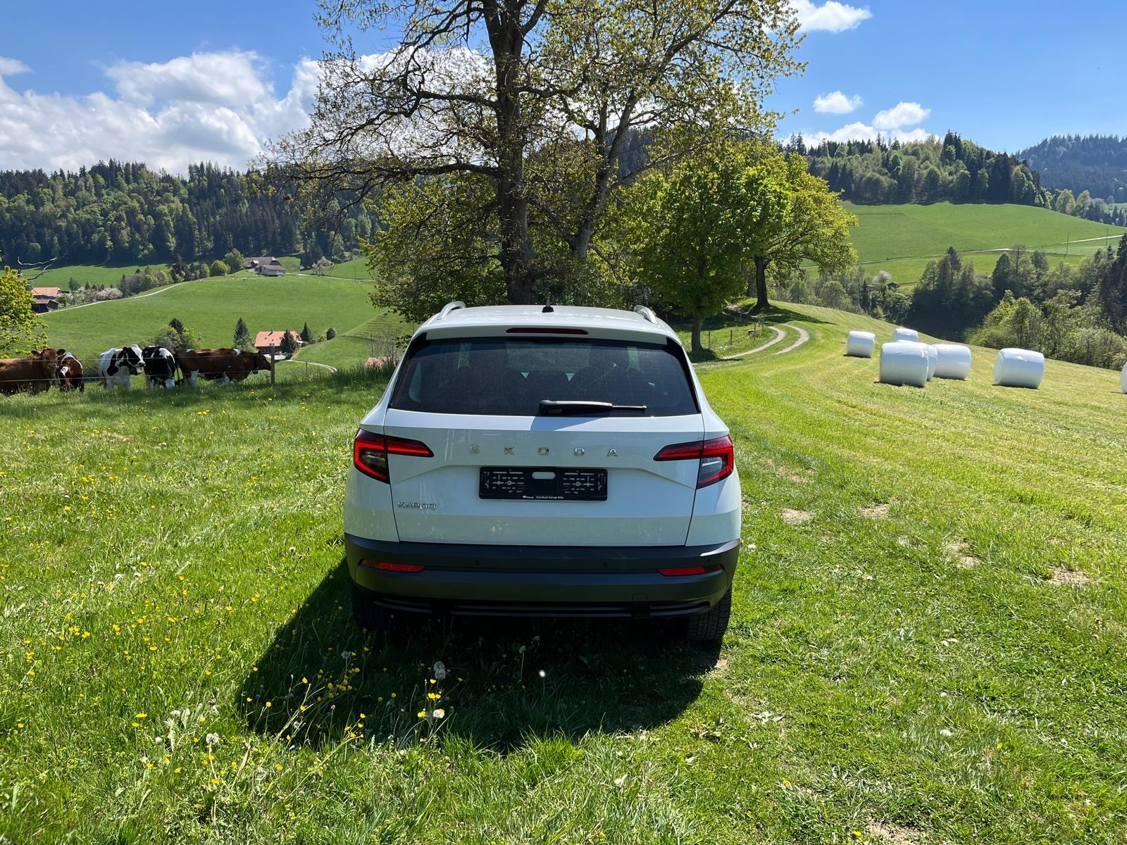 SKODA Karoq 1.5 TSI ACT Ambition DSG-image-3