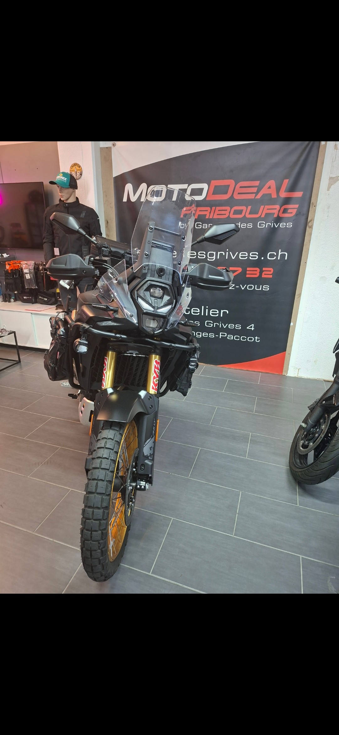 VOGE Rally-image-1
