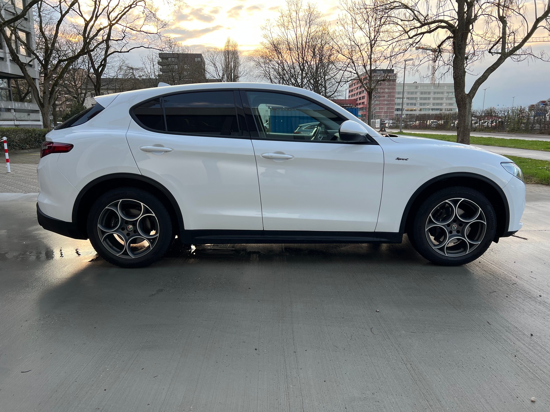 ALFA ROMEO Stelvio 2.0 Sprint Q4 Q4 Automatic-showroom-element-3