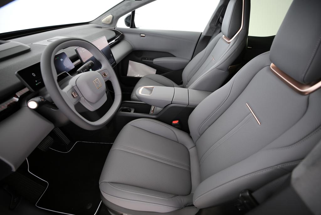 ZEEKR X Privilege AWD-image-7