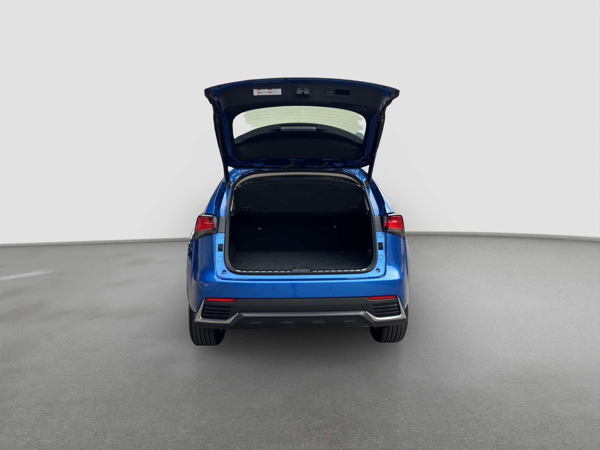 LEXUS NX 300h Comfort E-Four Automatic-image-12