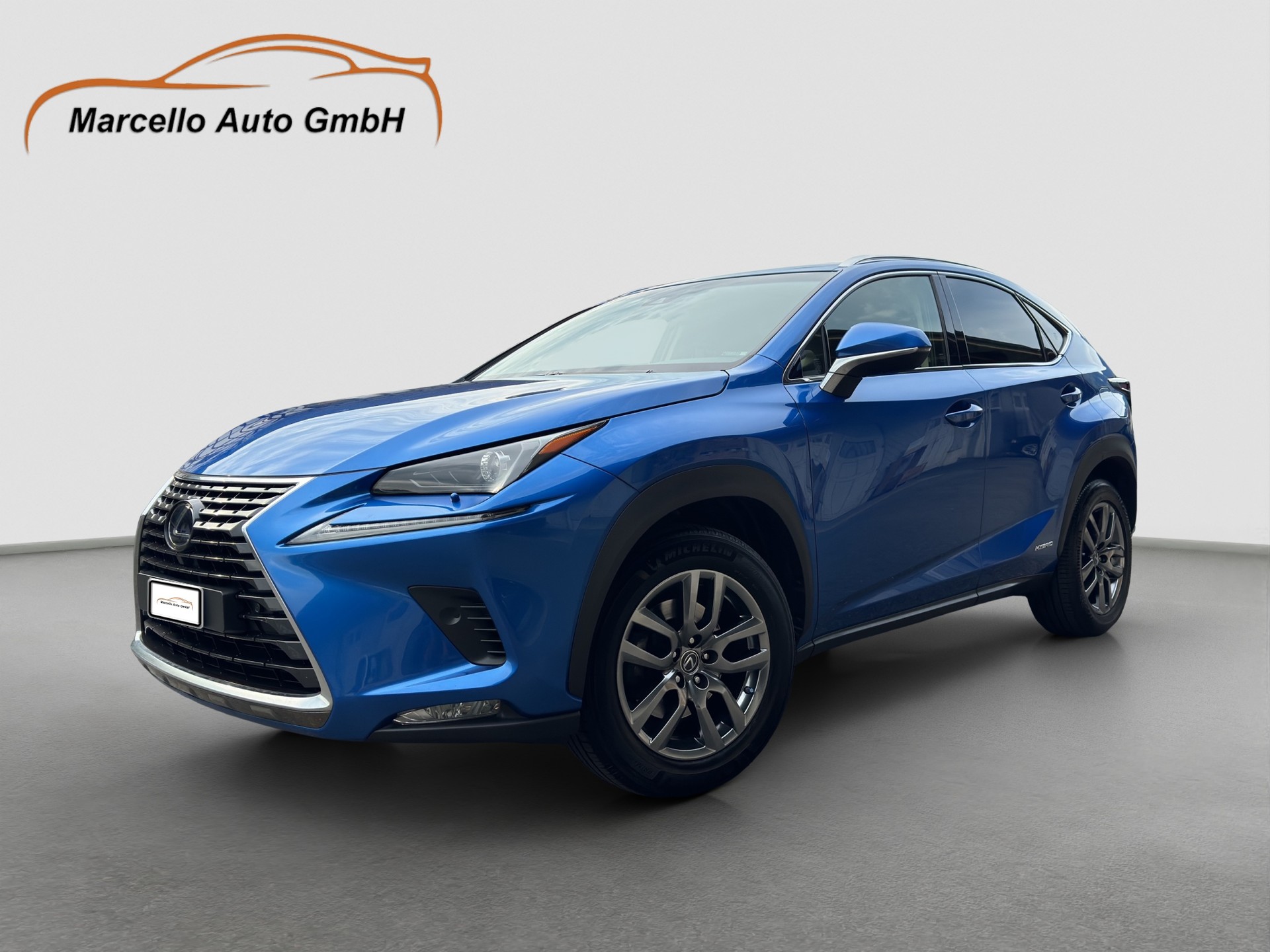 LEXUS NX 300h Comfort E-Four Automatic-image-0