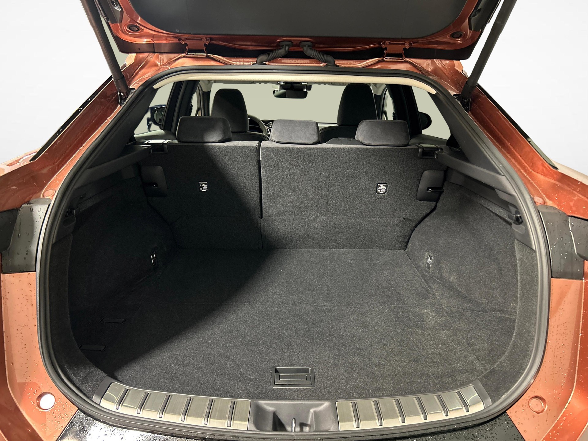LEXUS RZ 450e Excellence-image-13