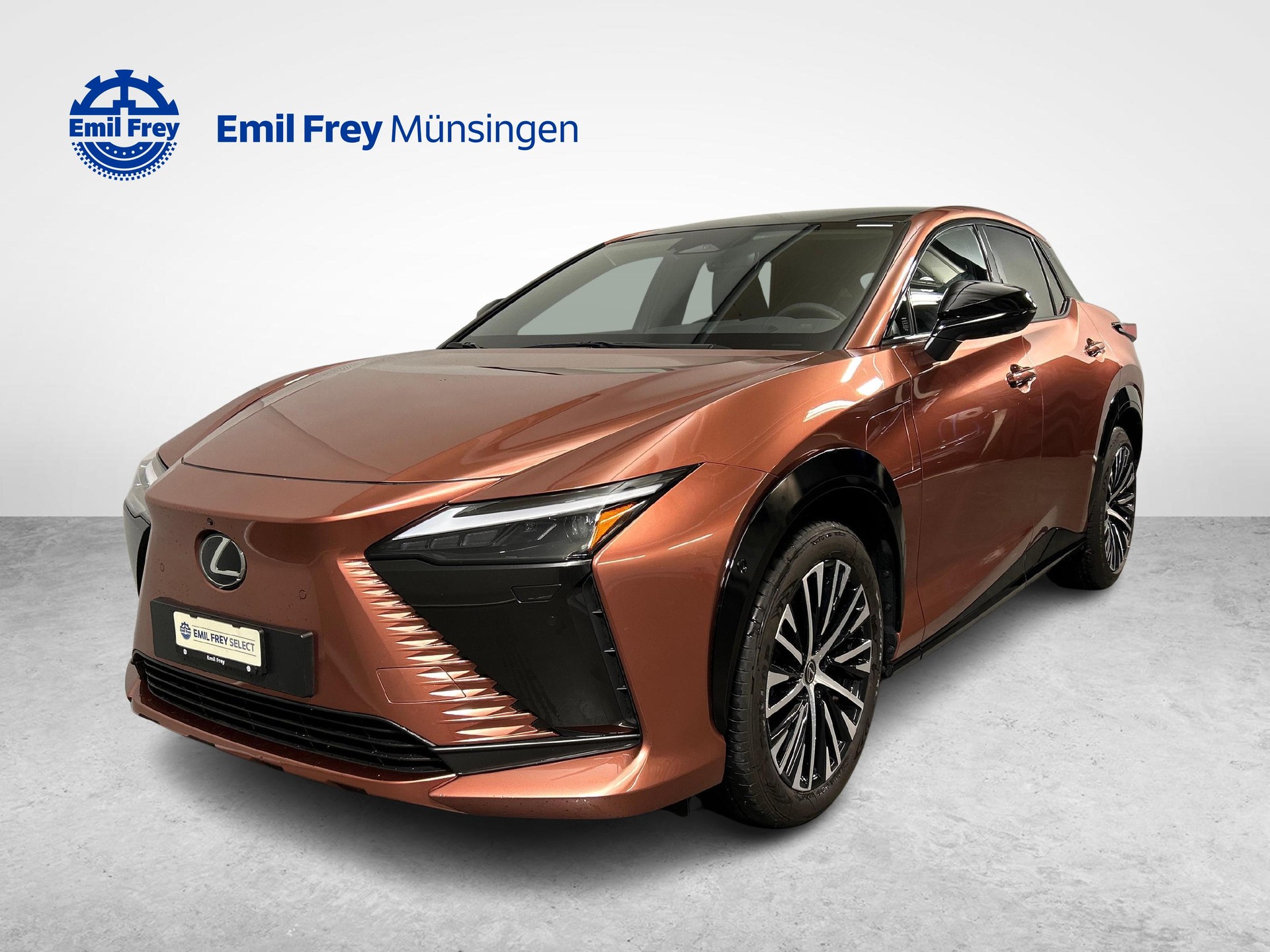 LEXUS RZ 450e Excellence