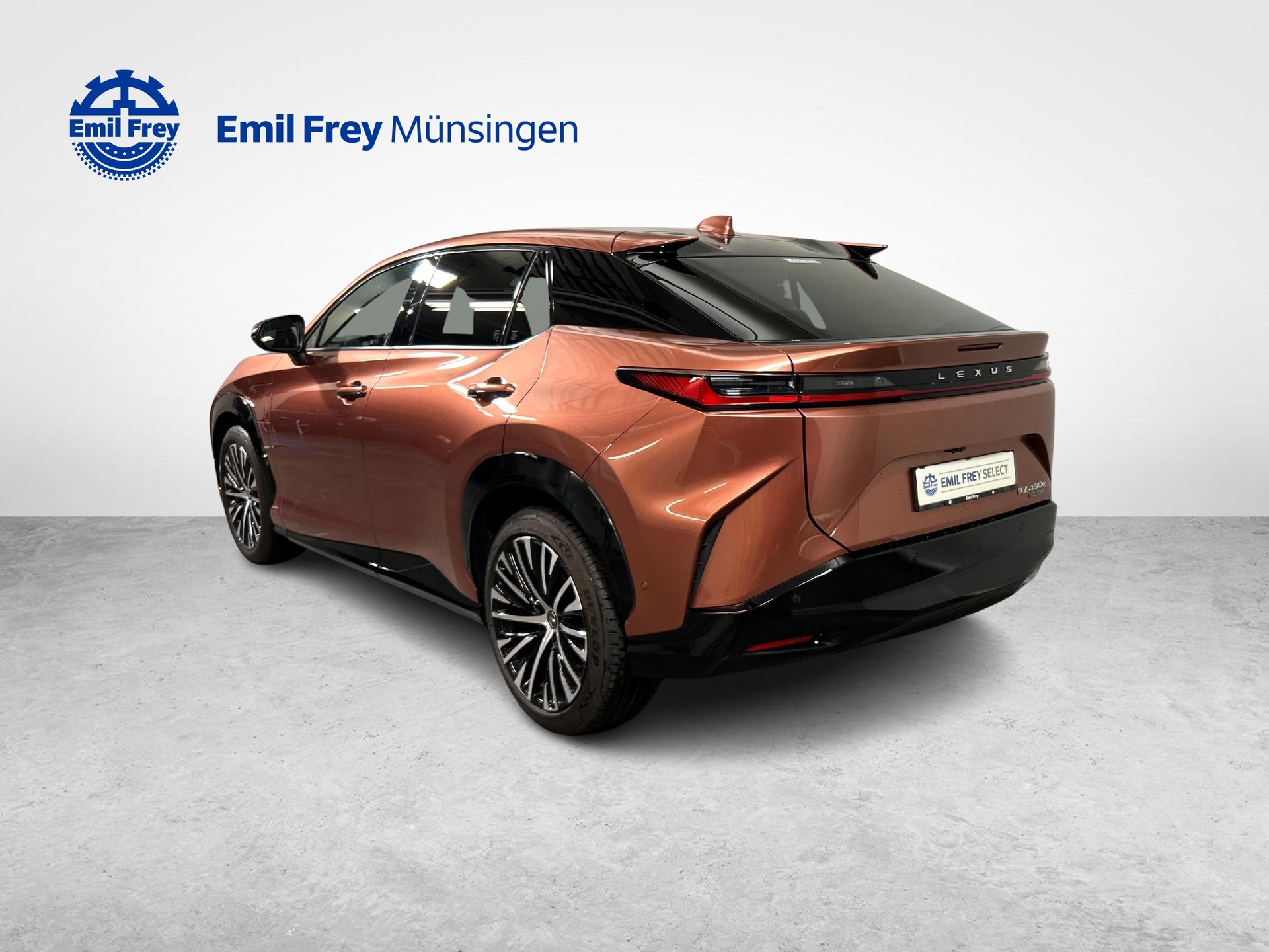 LEXUS RZ 450e Excellence-image-11
