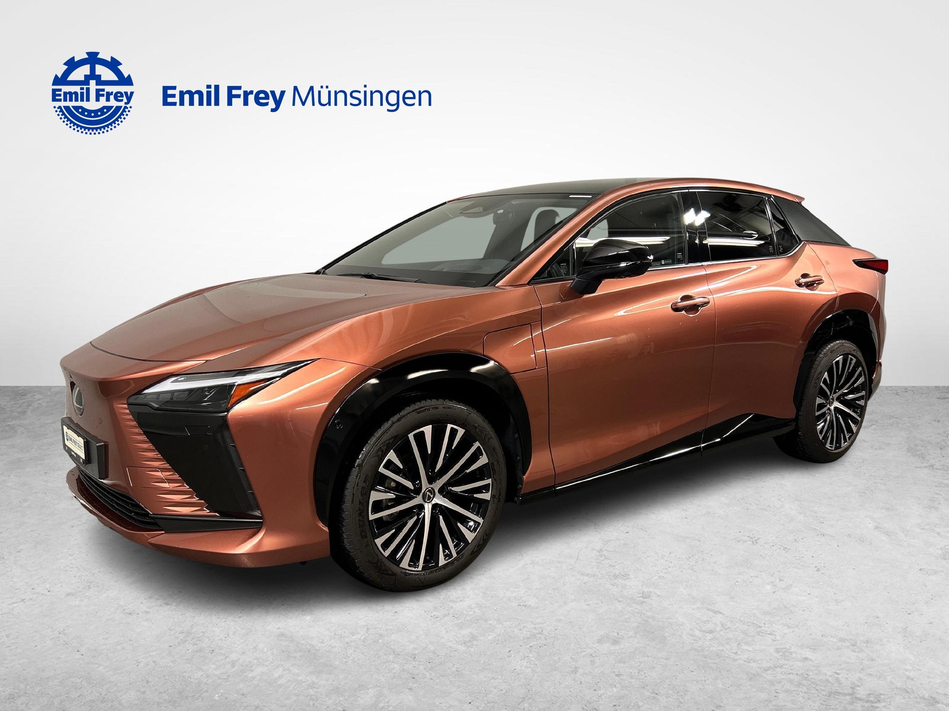 LEXUS RZ 450e Excellence-image-2