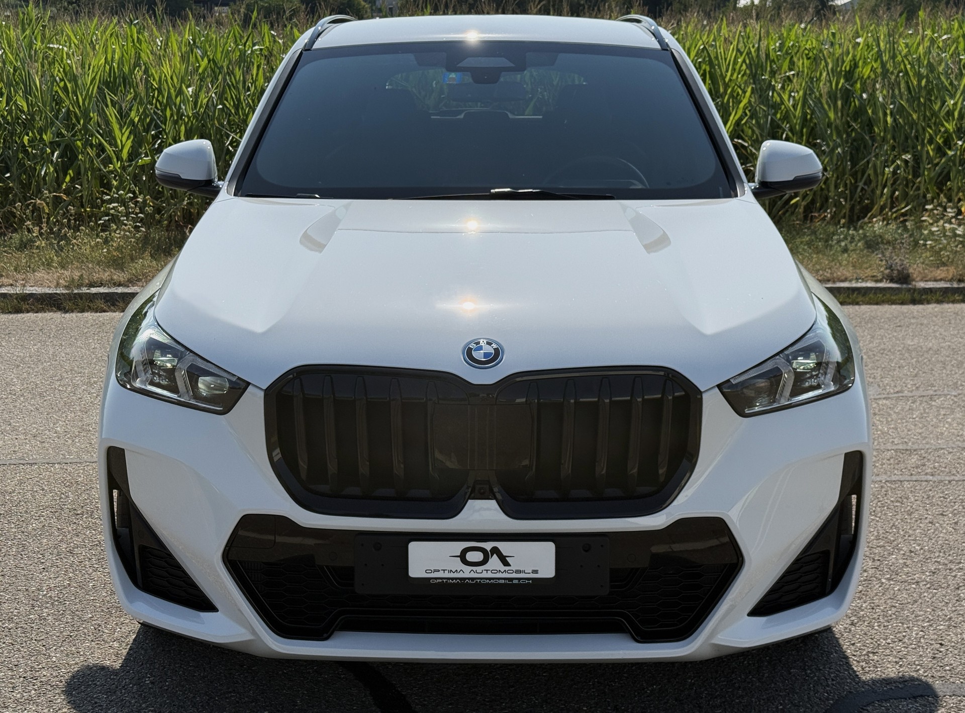 BMW X1 xDrive 25e M-SPORT - *1. HAND CH-FZ.* - *TOP-AUSSTATTUNG* - *GRATIS-SERVICE & WERKSGARANTIE* - *8-FACH ALU*-image-8
